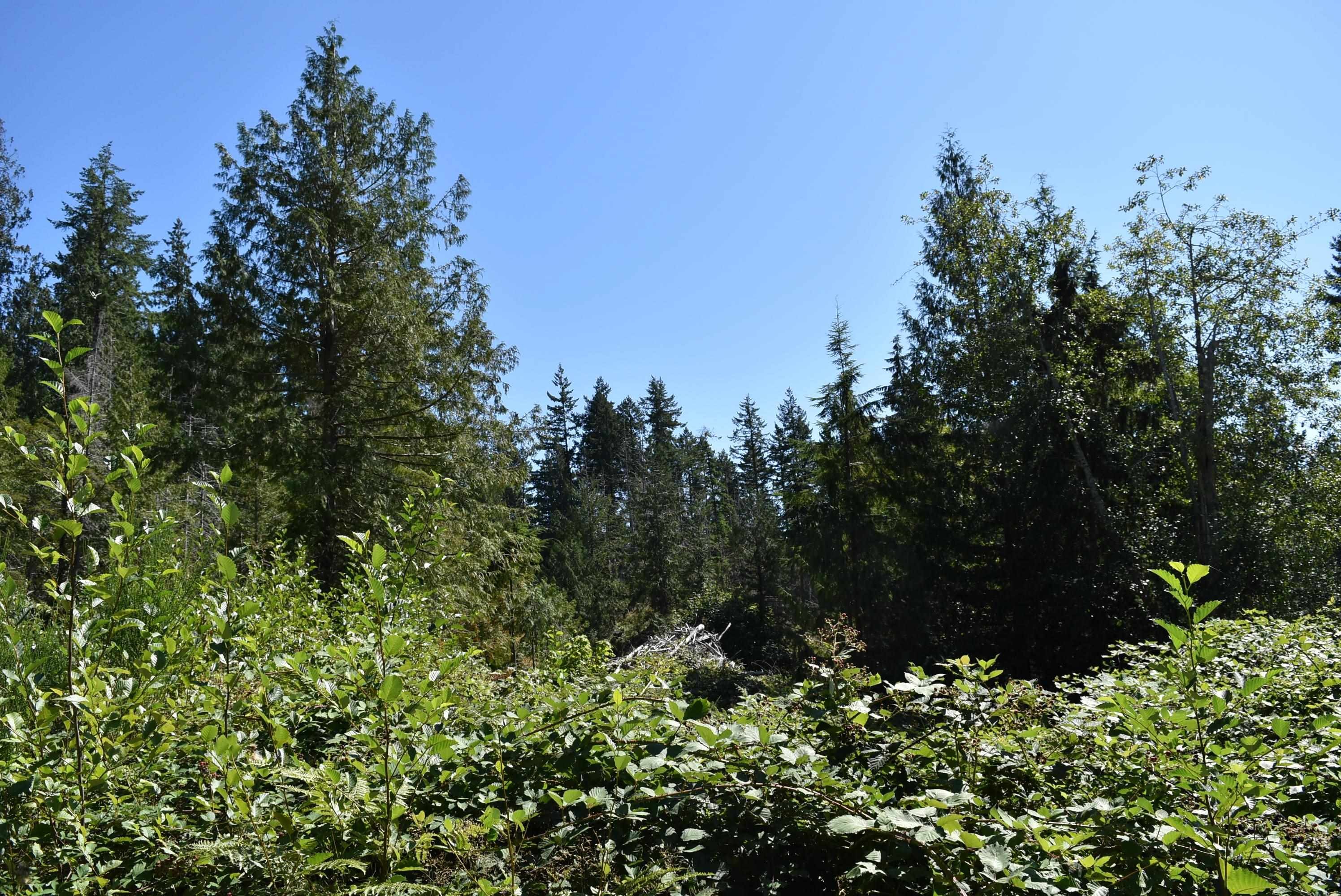Lot 3 Riley Road, Halfmoon Bay, BC