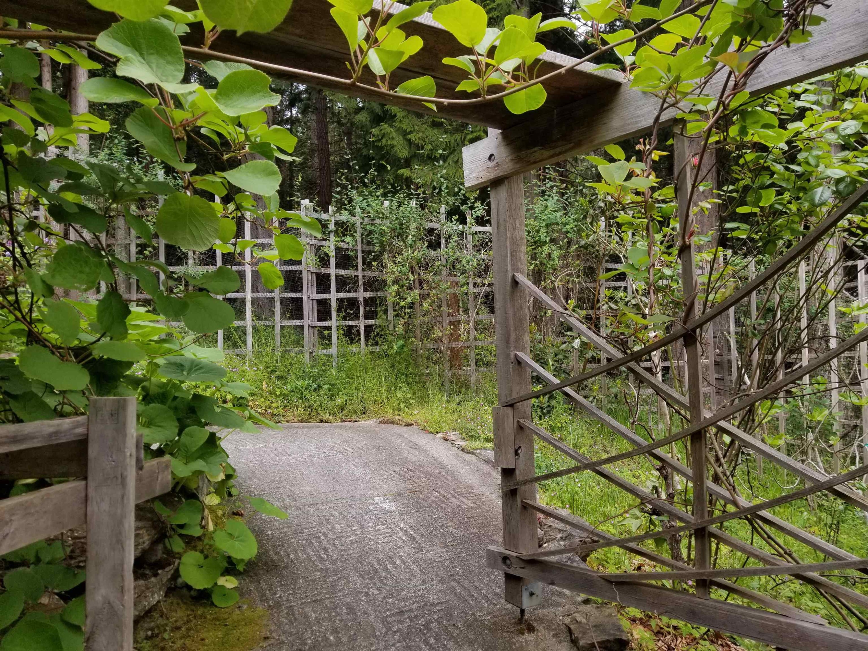 9975 Porlier Pass Road, Galiano Island, BC