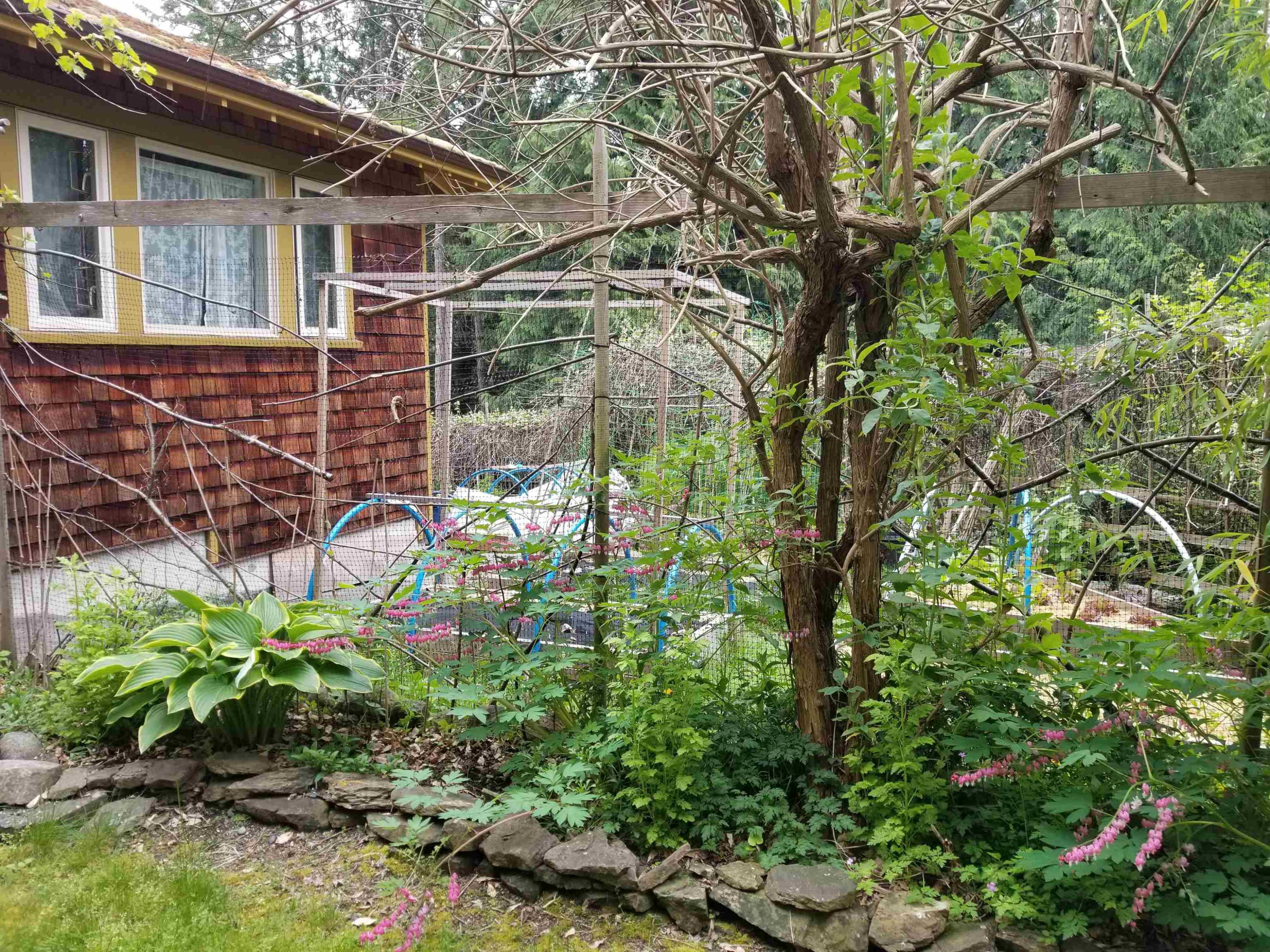 9975 Porlier Pass Road, Galiano Island, BC