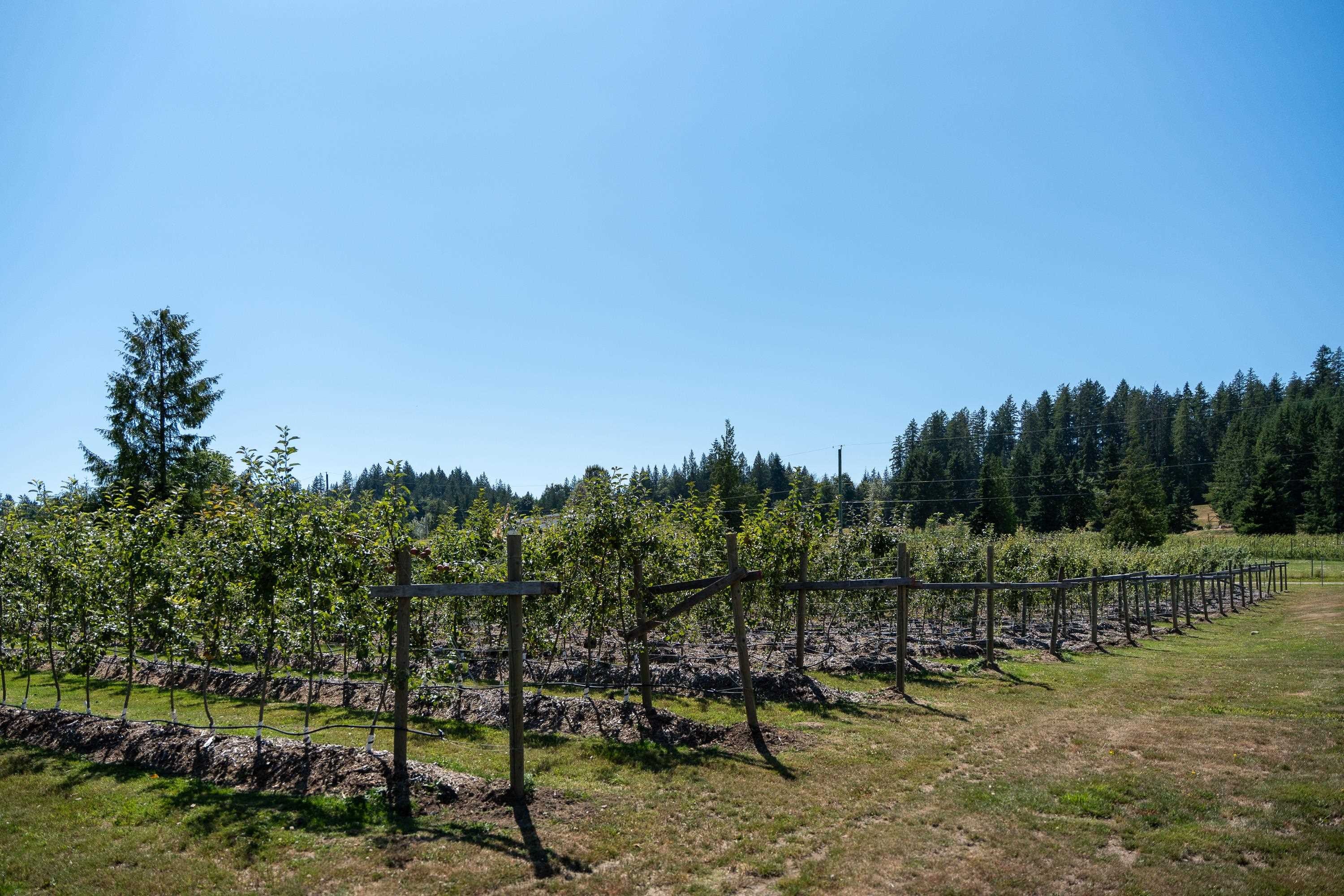 6316 Crowston Road, Sechelt, BC