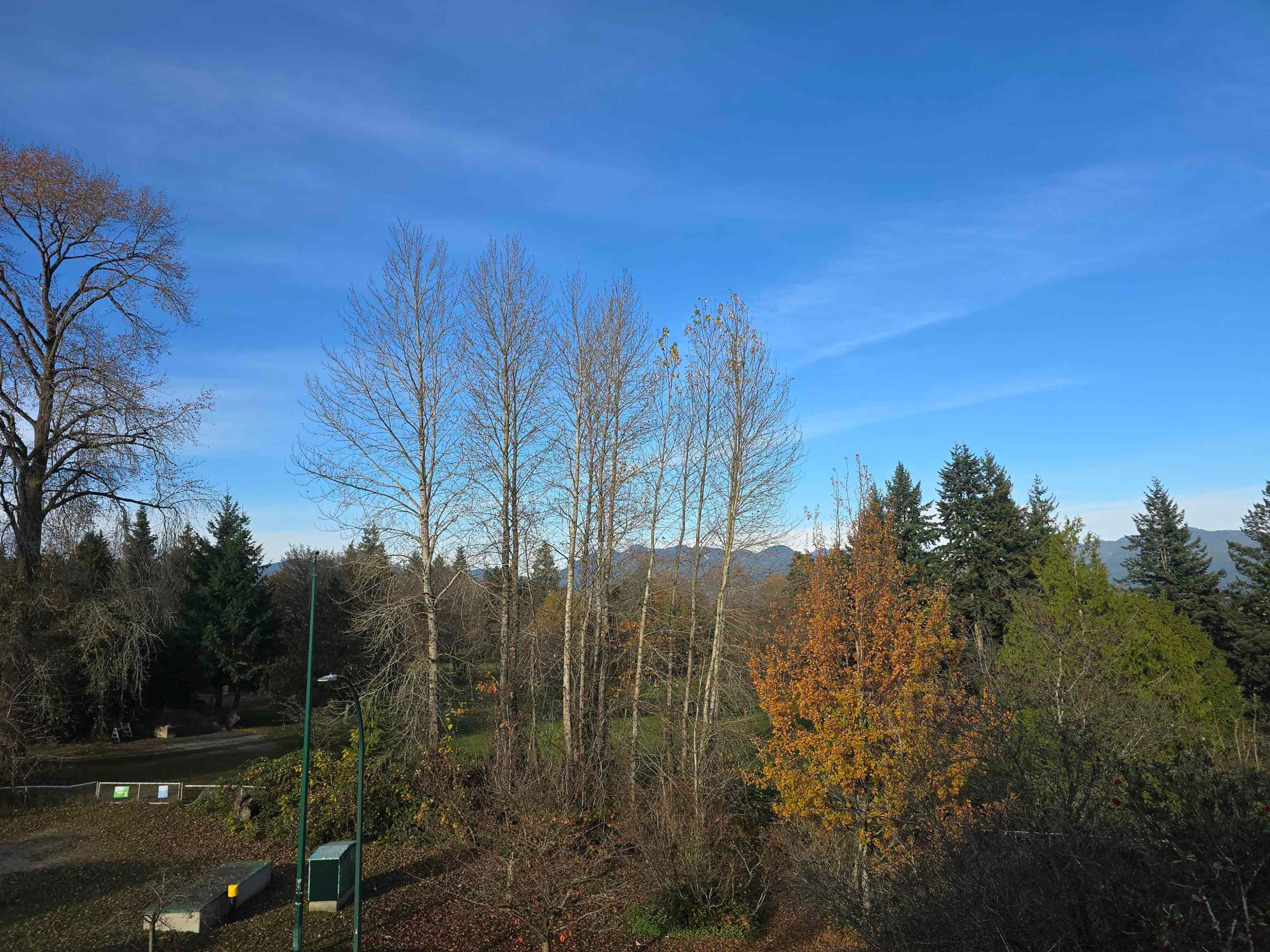 98 37Th Avenue W, Vancouver, BC