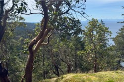 PH3-LOT8 Arbutus Ridge Bowen Island, BC V0N 1G2