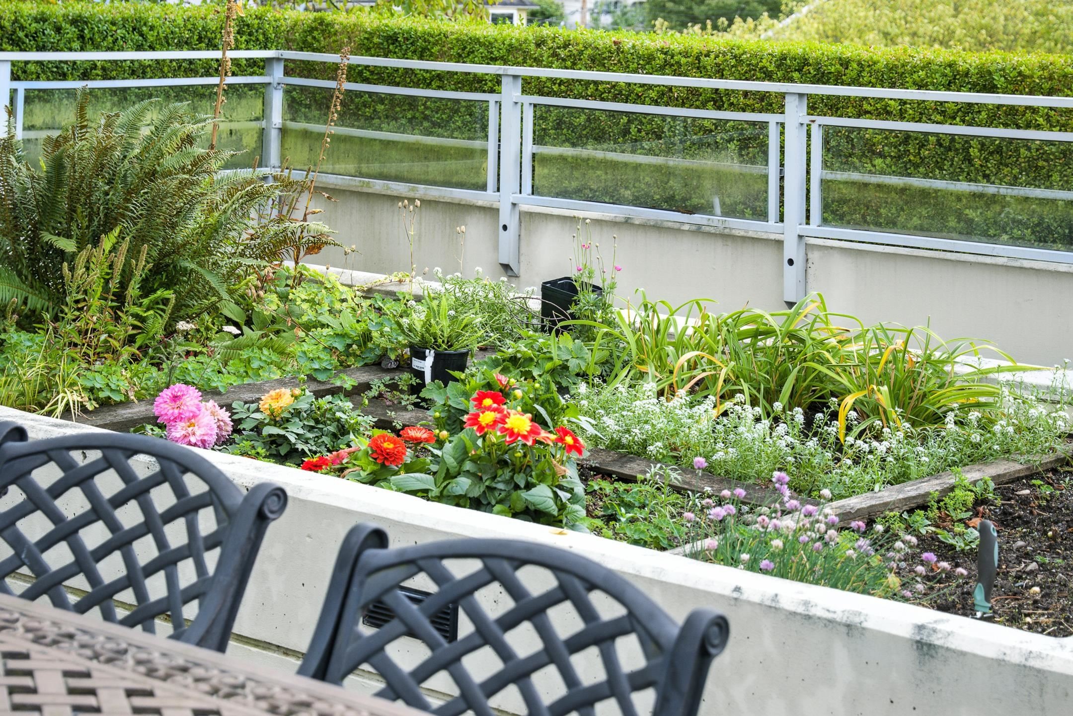 404-3595 18Th Avenue W, Vancouver, BC