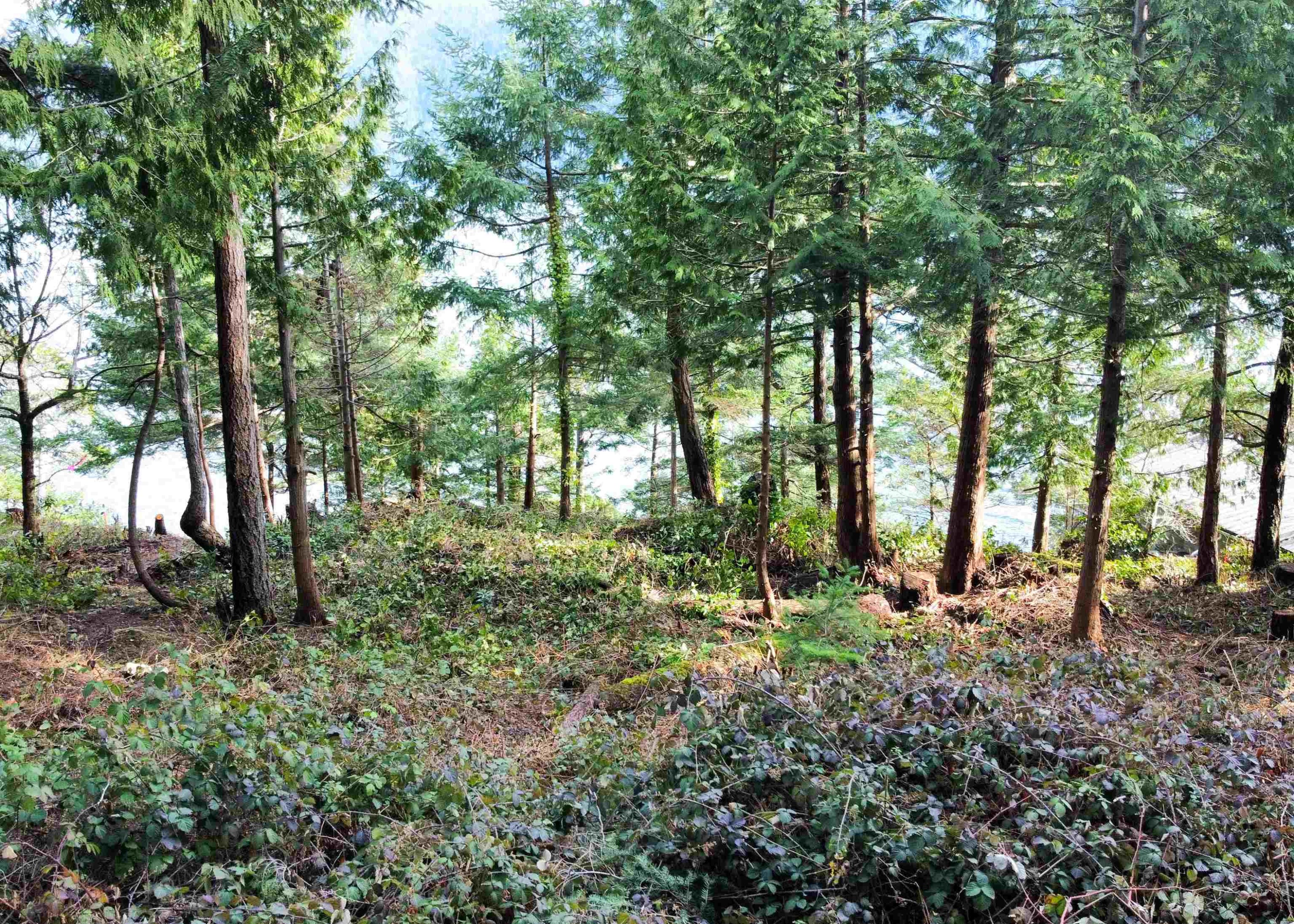 Lot 9 Collingwood Road, Keats Island, BC