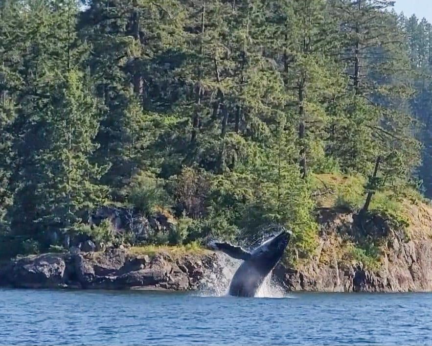 Lot 9 Collingwood Road, Keats Island, BC