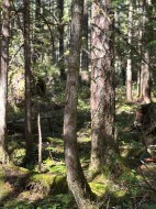 LOT B Porters Road Pender Harbour, BC V0N 2H1