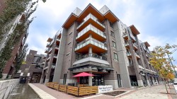 225-3131 Murray Street Port Moody, BC V3H 0L9