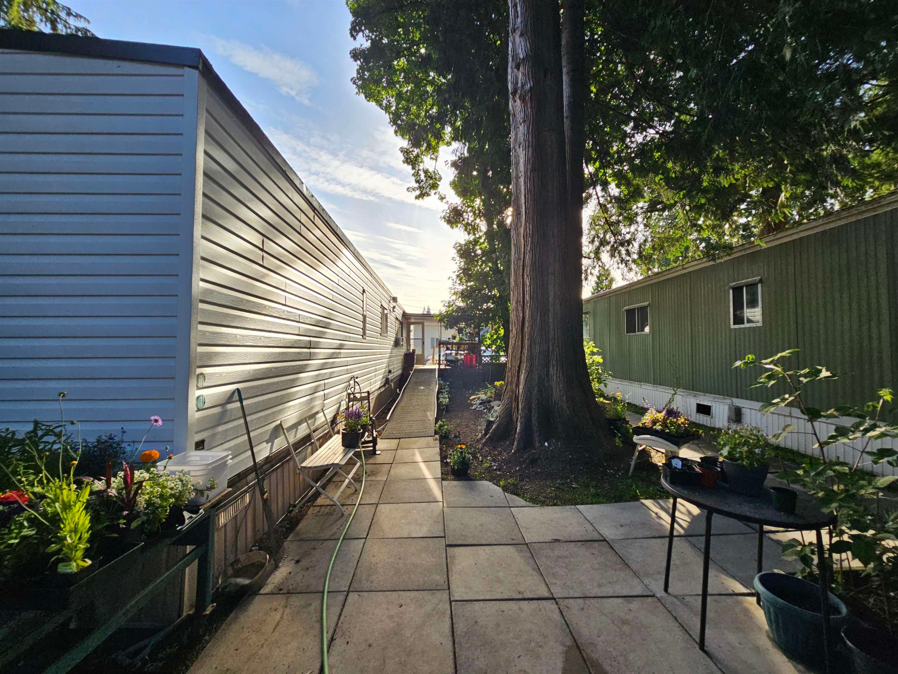 3-21091 Lougheed Highway, Maple Ridge, BC