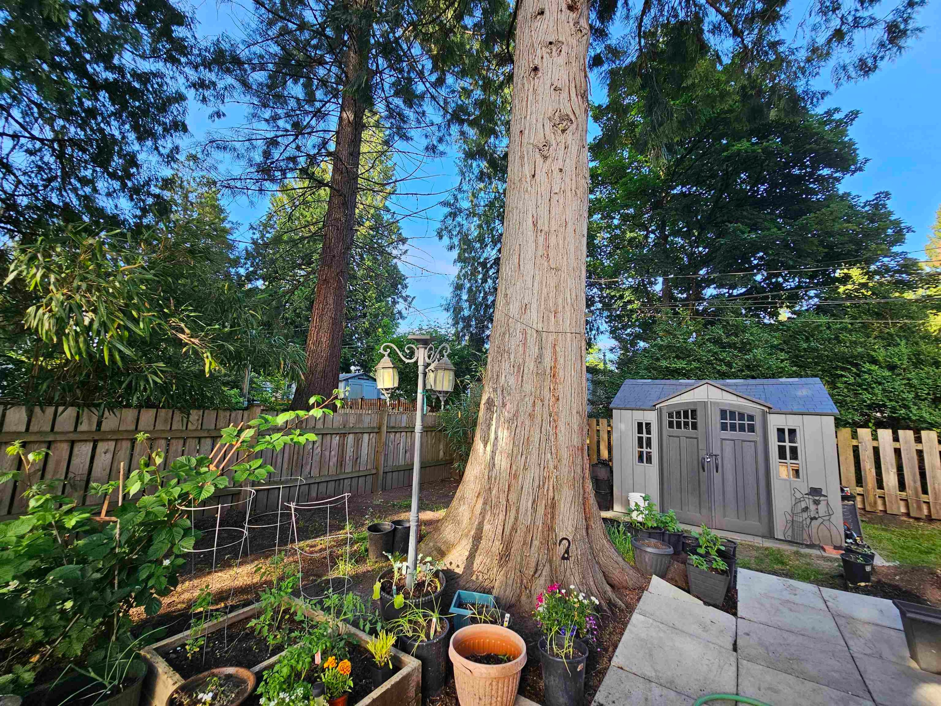 3-21091 Lougheed Highway, Maple Ridge, BC