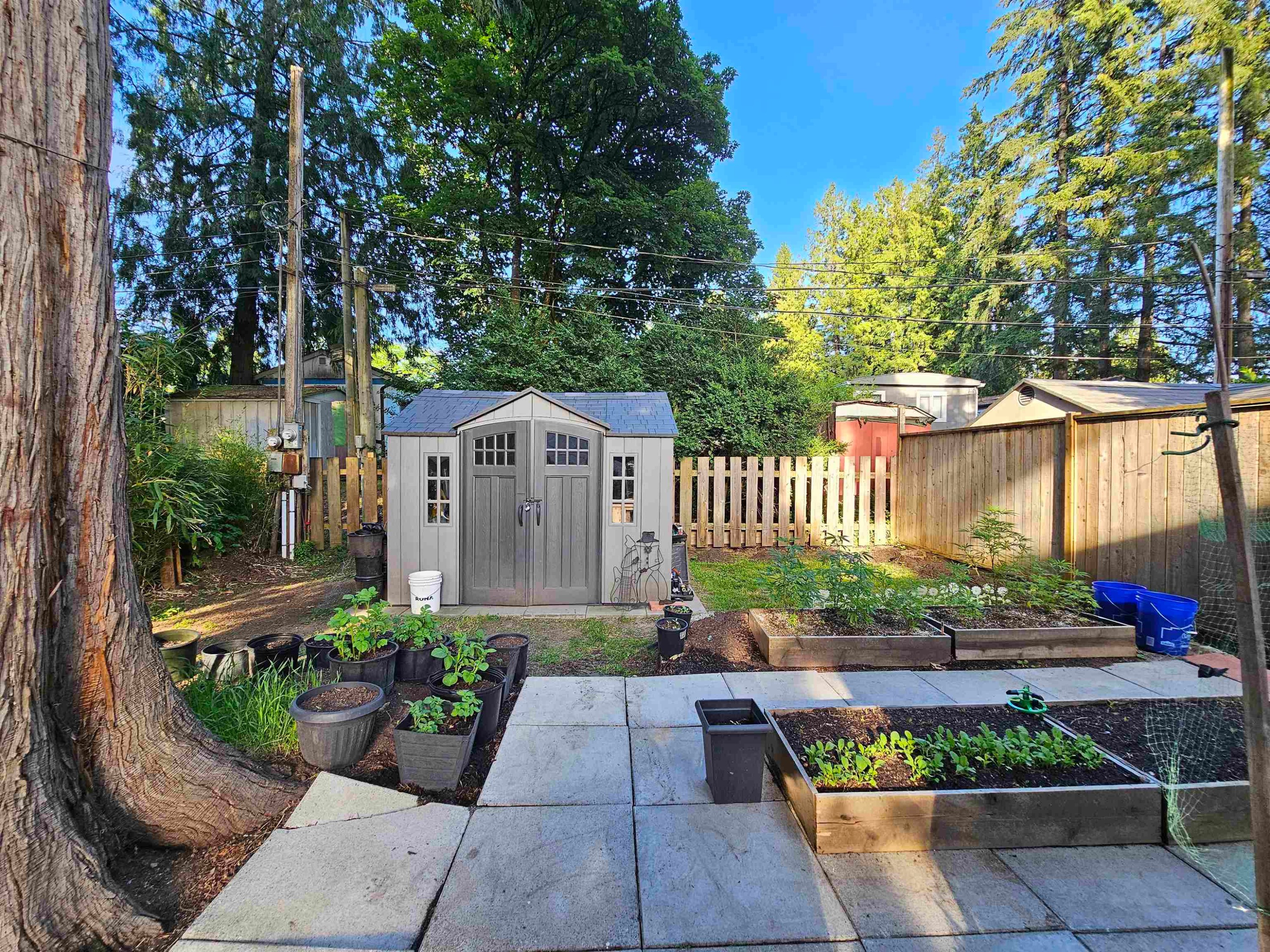 3-21091 Lougheed Highway, Maple Ridge, BC