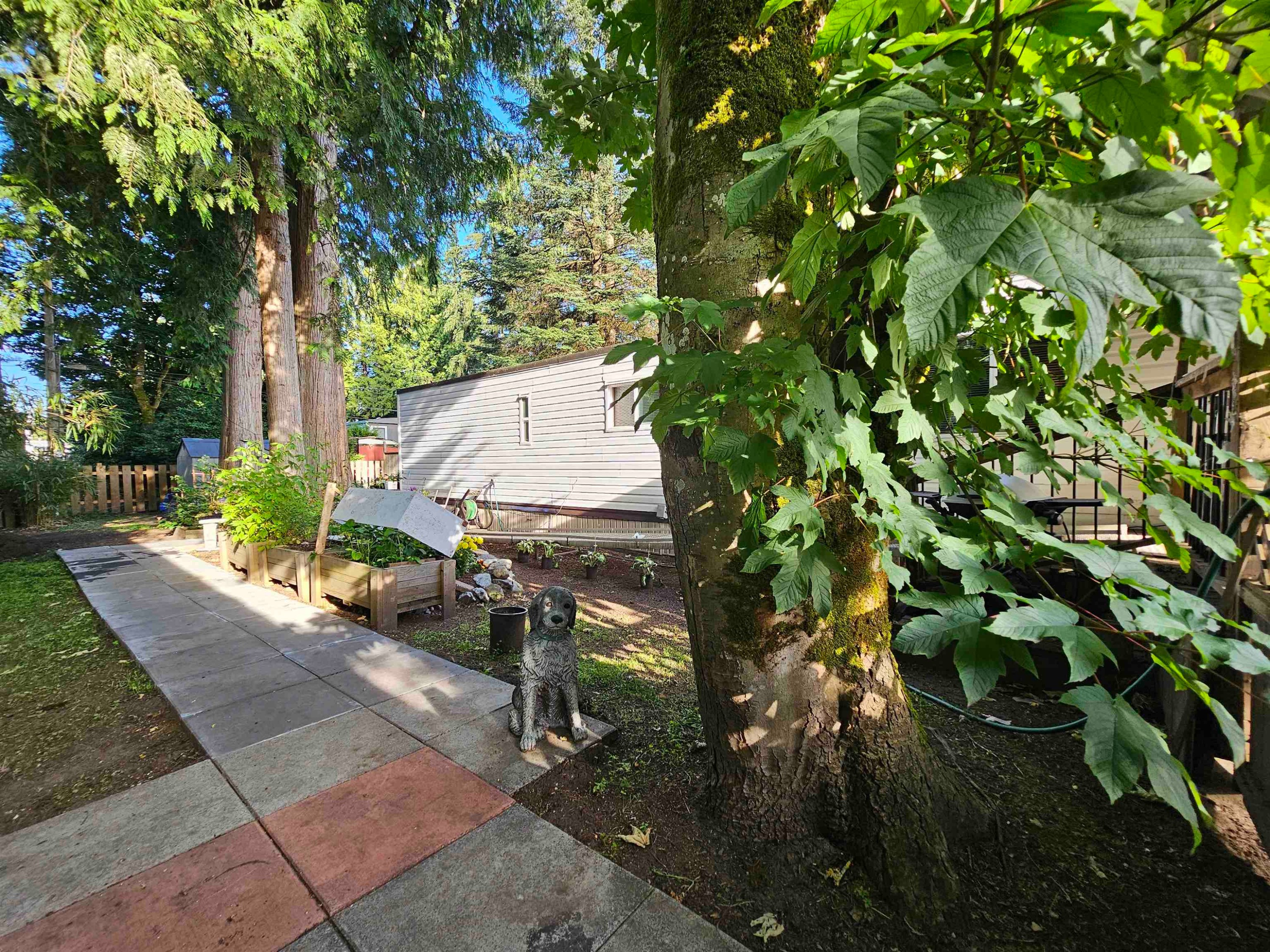 3-21091 Lougheed Highway, Maple Ridge, BC