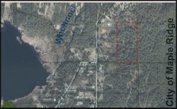 28409 116 Avenue Maple Ridge, BC V2X 0H1