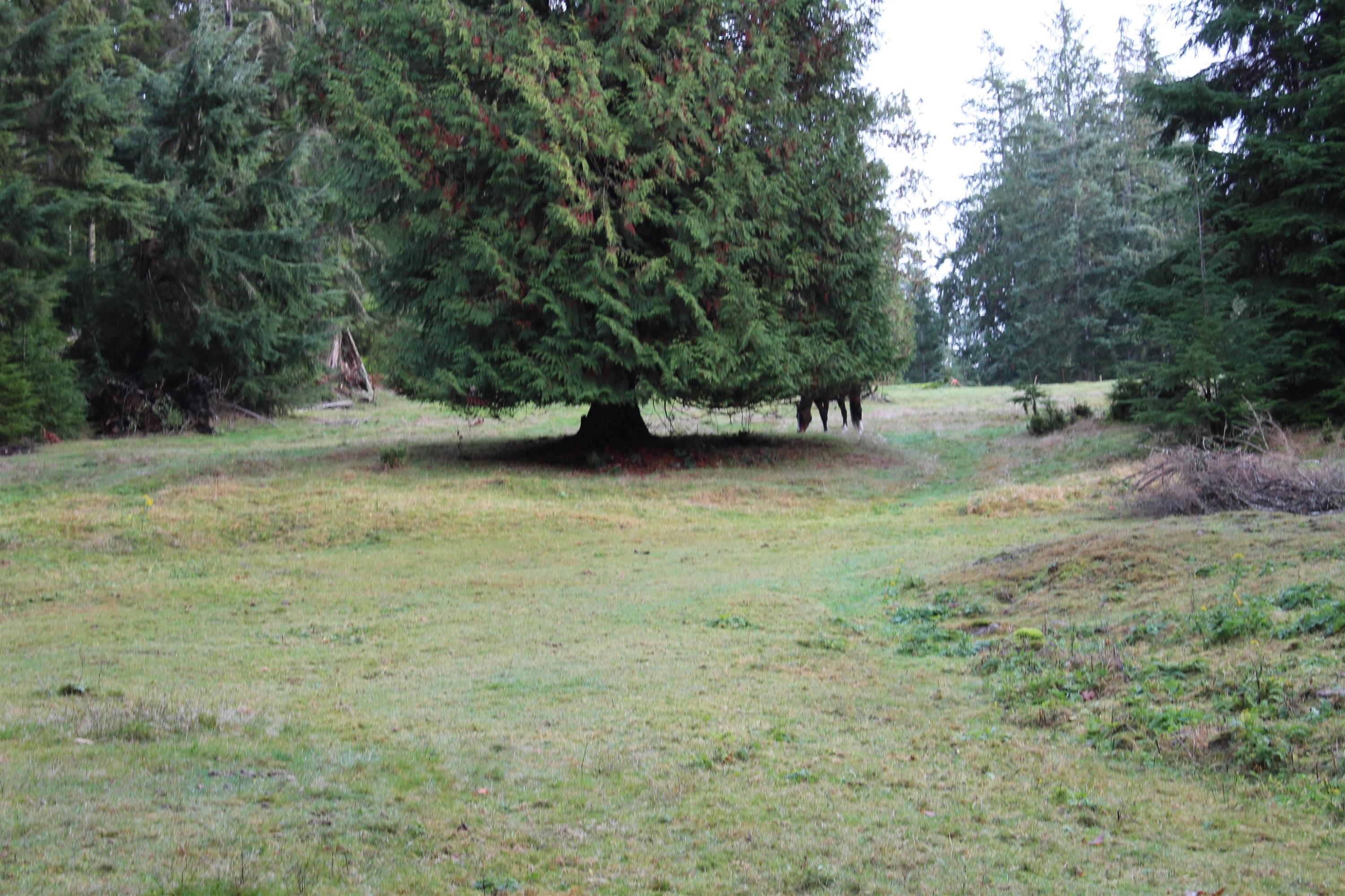 Lot 9 Mountain Road, Gambier Island, BC