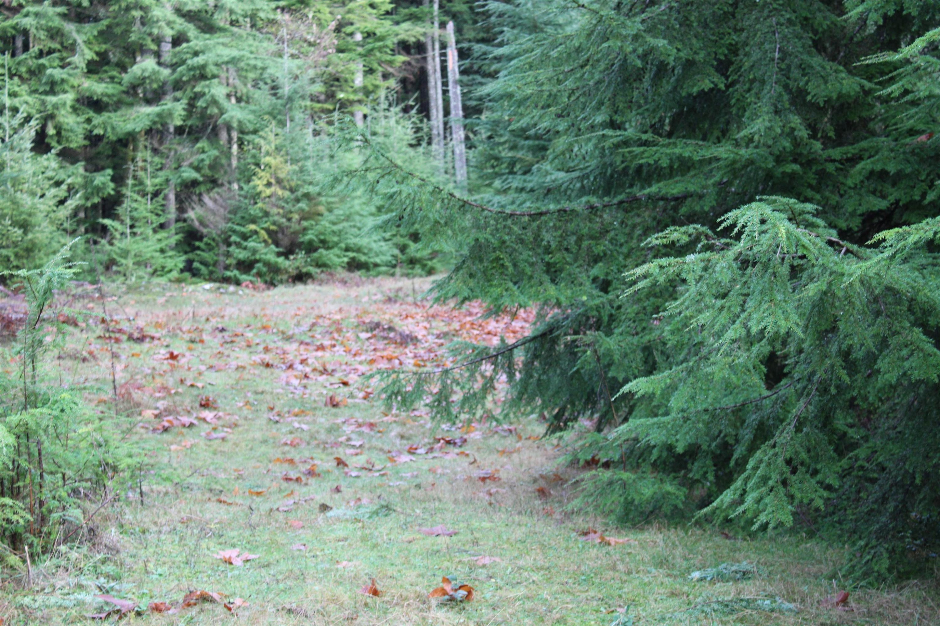 Lot 9 Mountain Road, Gambier Island, BC