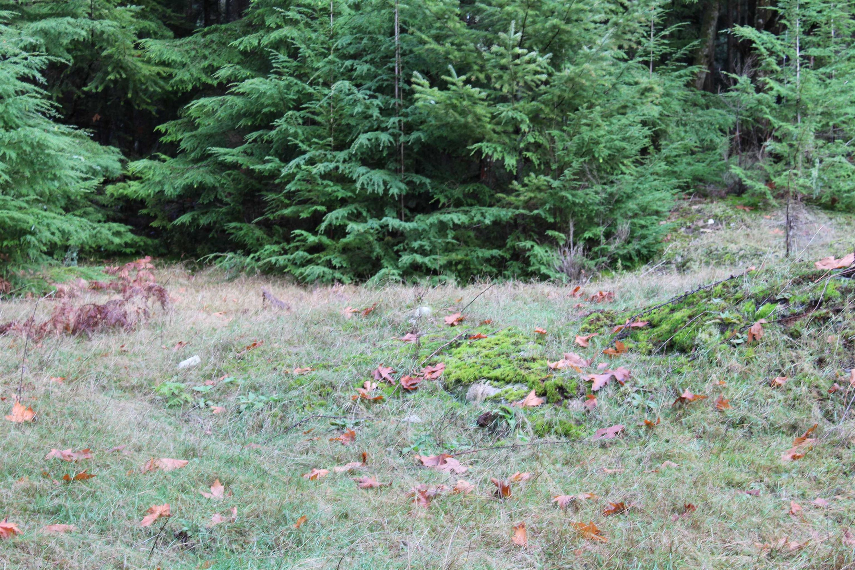Lot 9 Mountain Road, Gambier Island, BC