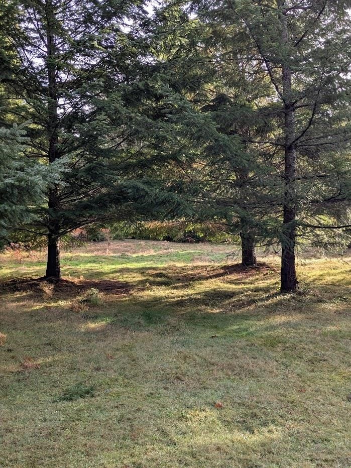 Lot 9 Mountain Road, Gambier Island, BC