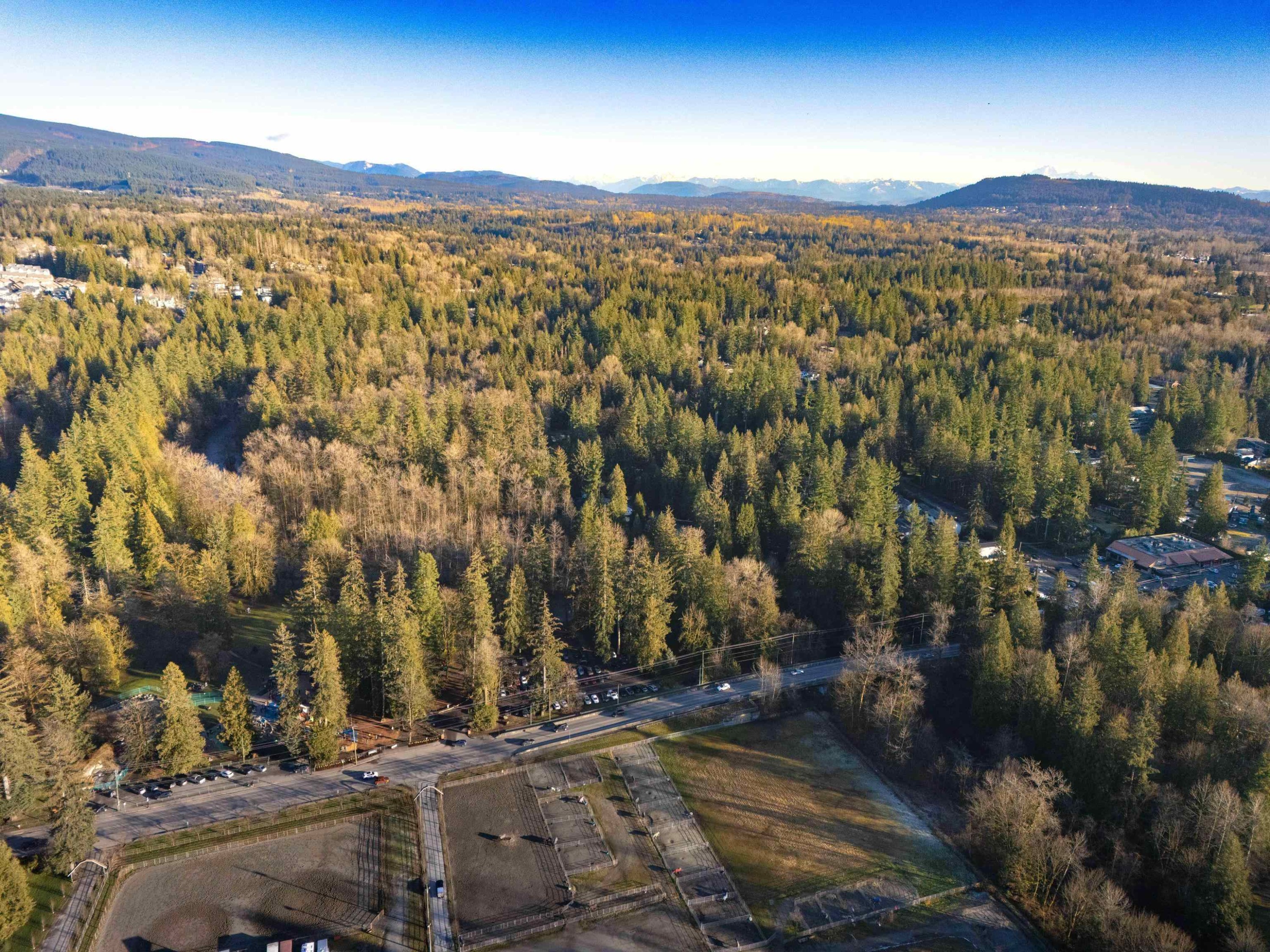 23206 Calvin Crescent, Maple Ridge, BC