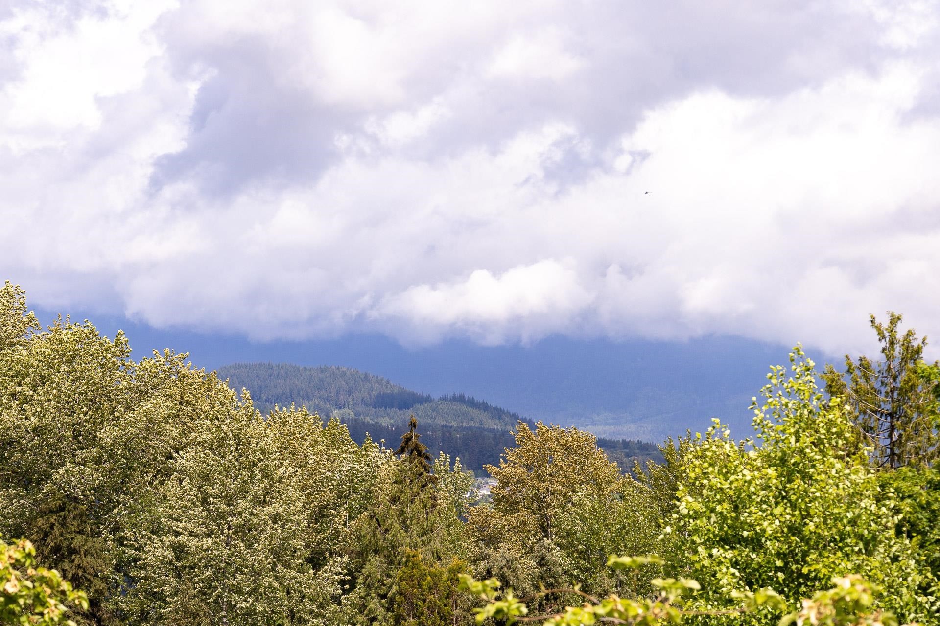 1087 Cecile Drive, Port Moody, BC