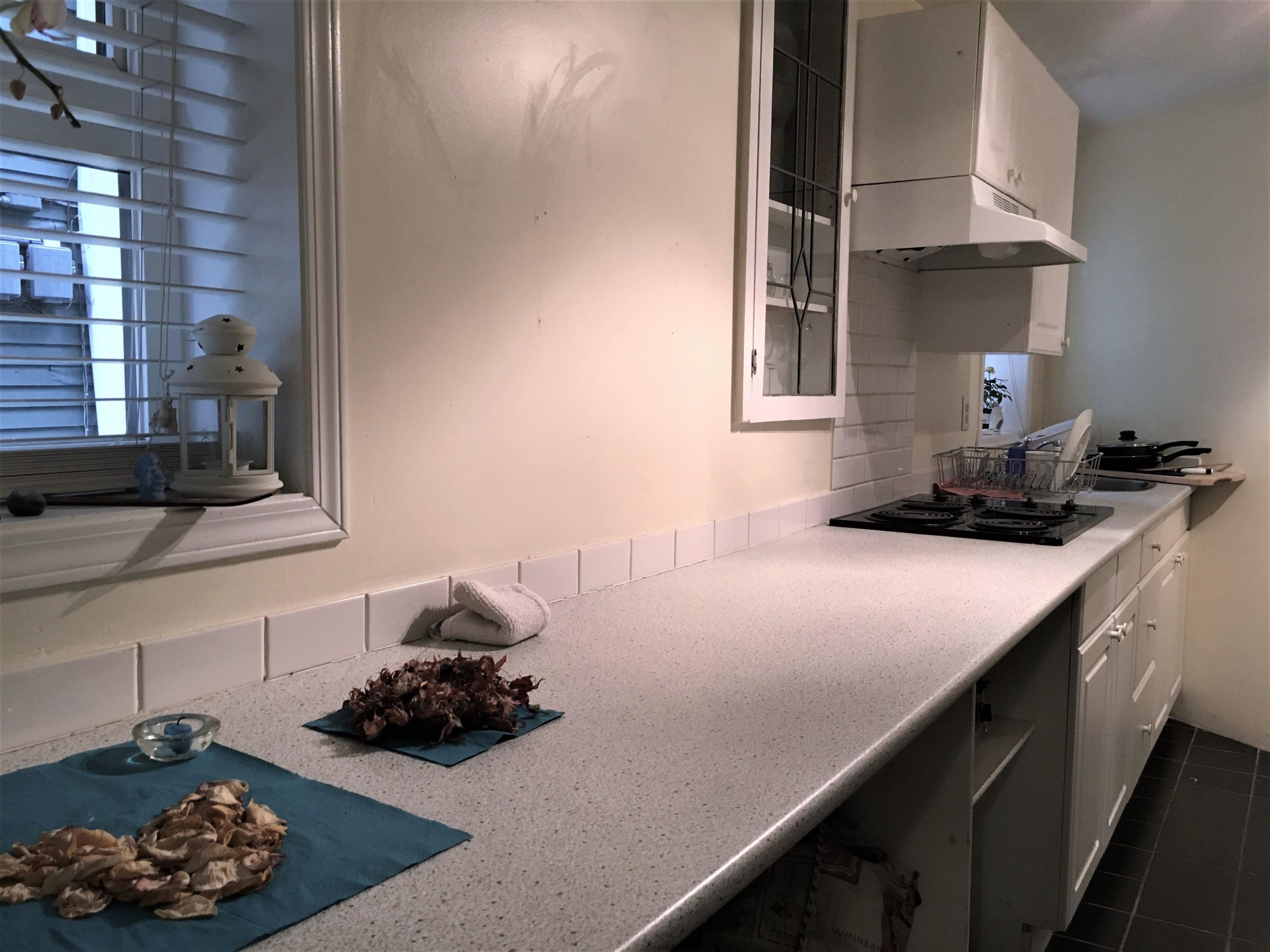 3-1517 Comox Street, Vancouver, BC