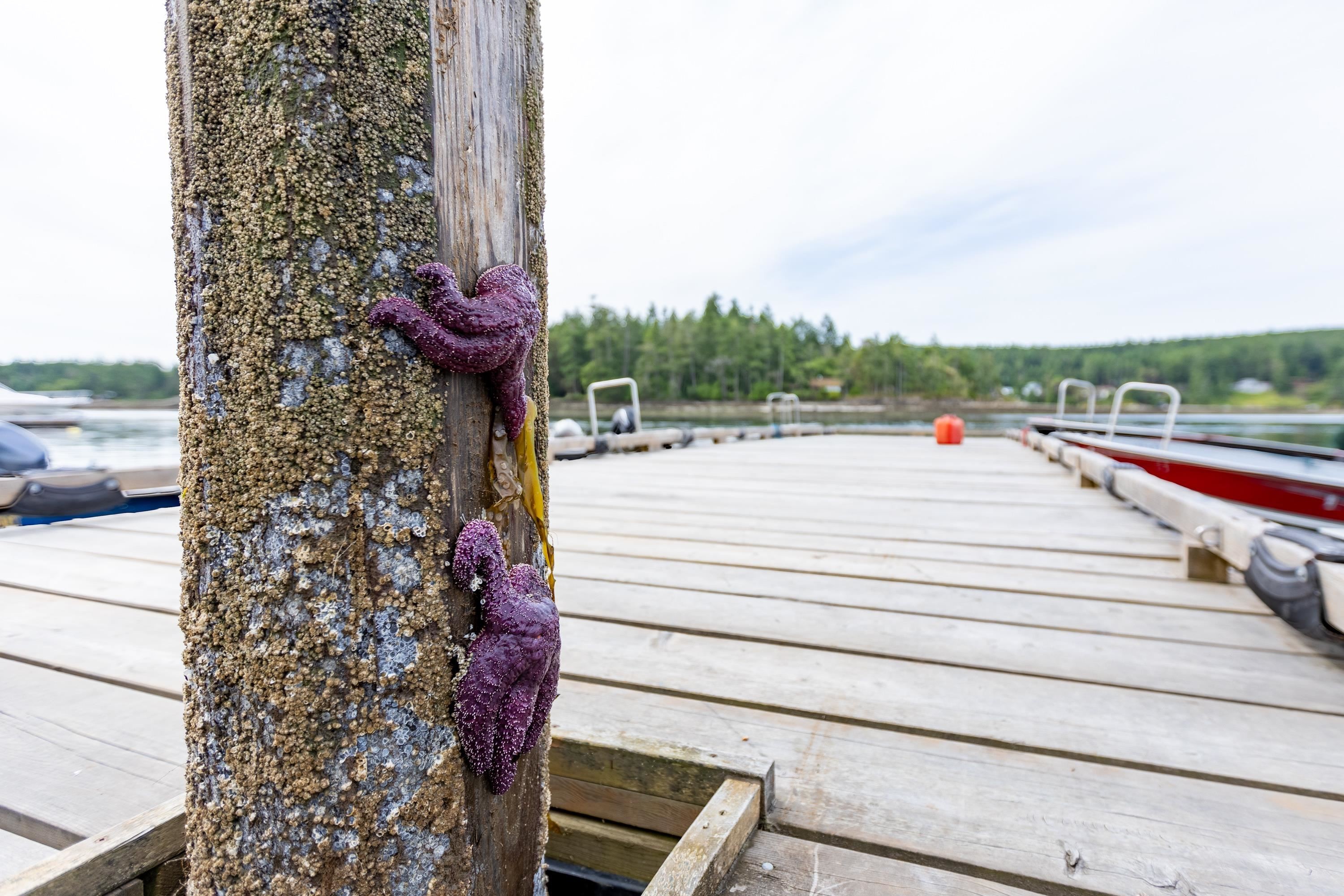 119 Island Park Drive, Galiano Island, BC