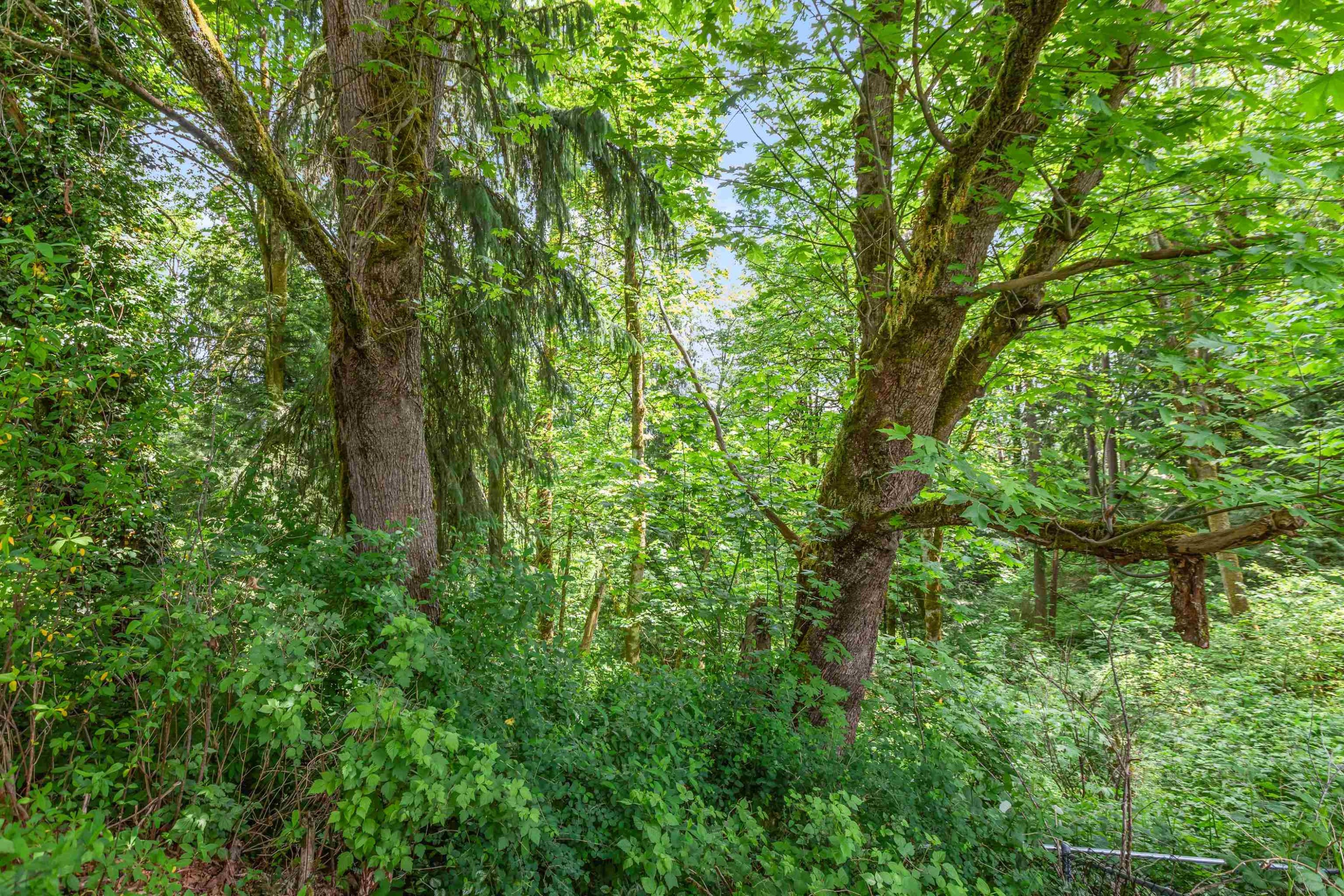 10610 238 Street, Maple Ridge, BC