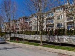 104-2373 Atkins Avenue Port Coquitlam, BC V3C 1Y7