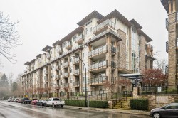 205-2495 Wilson Avenue Port Coquitlam, BC V3C 0E4