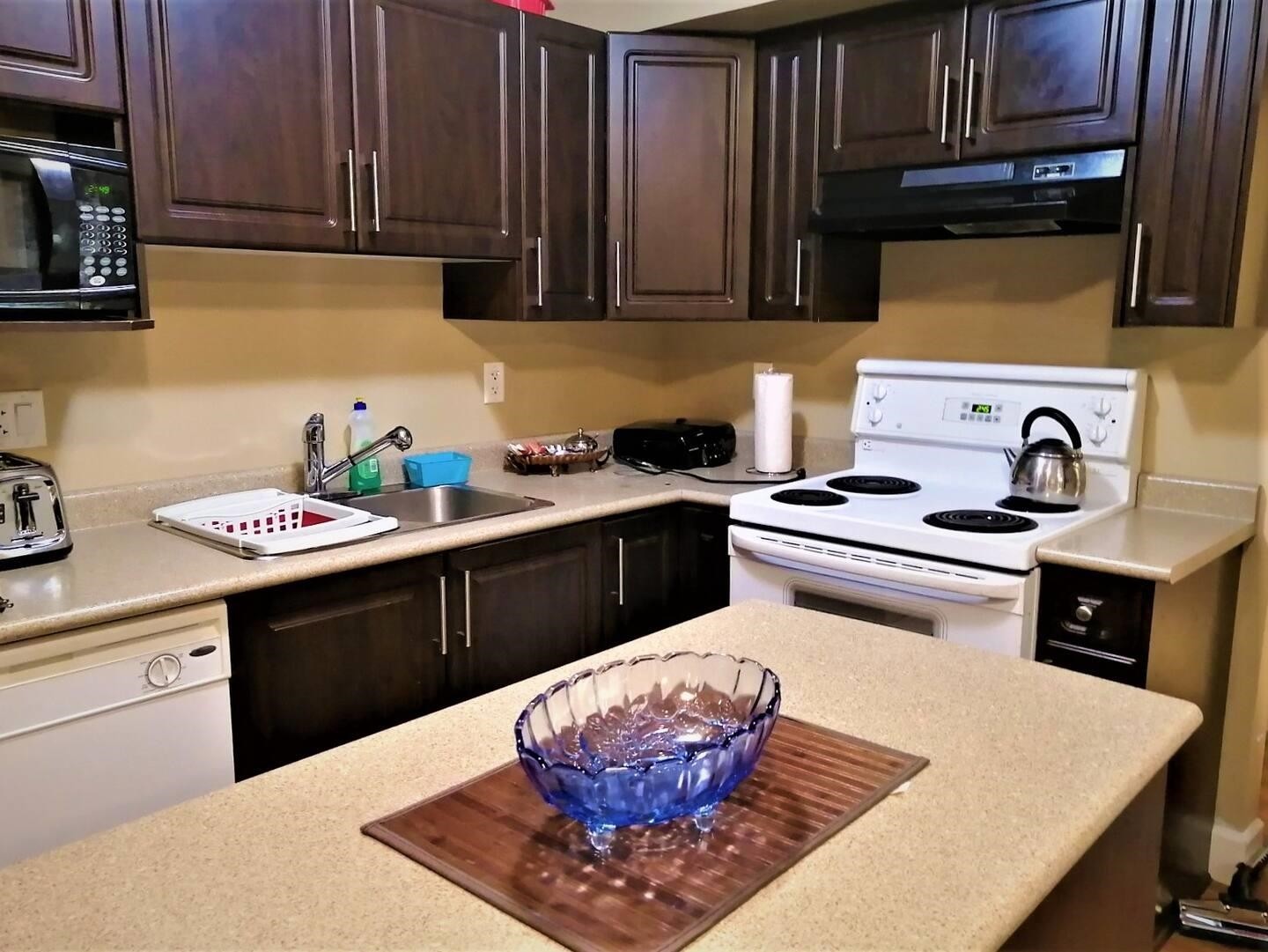 Bsmt-536 Webster Avenue, Coquitlam, BC