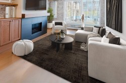 210-1178 Hamilton Street Vancouver, BC V6B 2S2