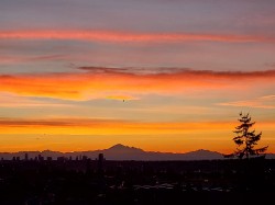 1140-7288 Acorn Avenue Burnaby, BC V5E 4H6