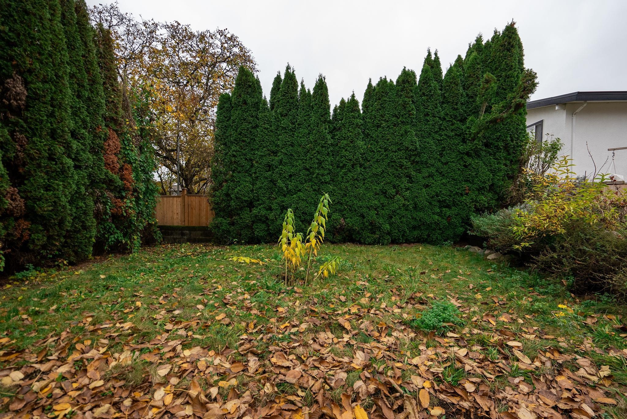 2006 Hamilton Street, New Westminster, BC