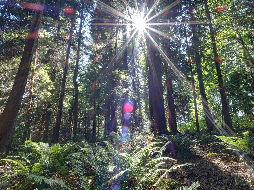 Lot 5 Gower Point Road, Gibsons, BC