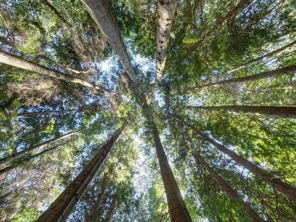 Lot 5 Gower Point Road, Gibsons, BC