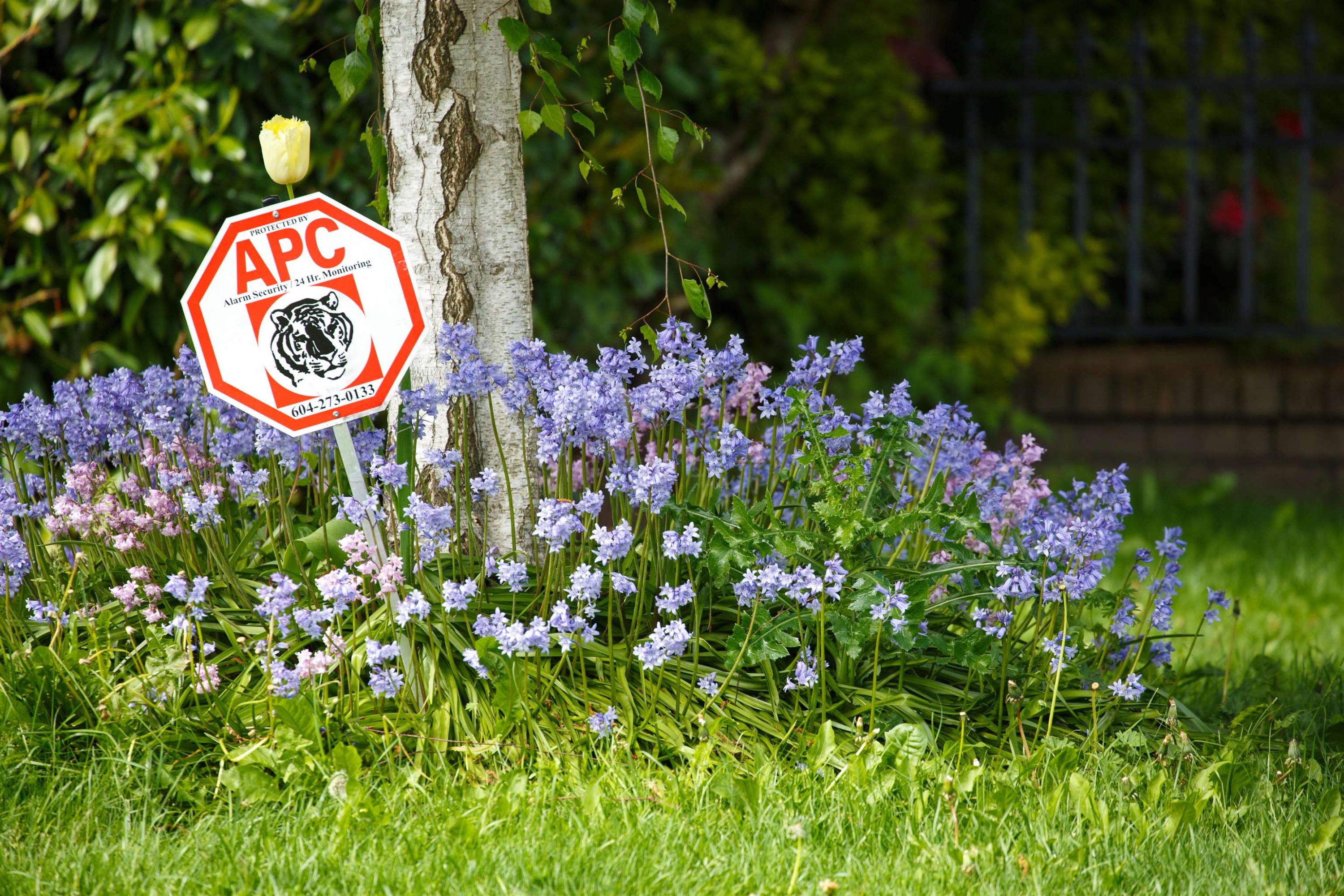 7471 Lindsay Road, Richmond, BC