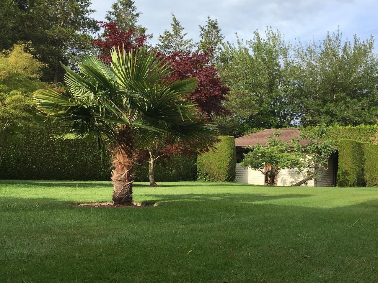 4366 Steveston Highway, Richmond, BC