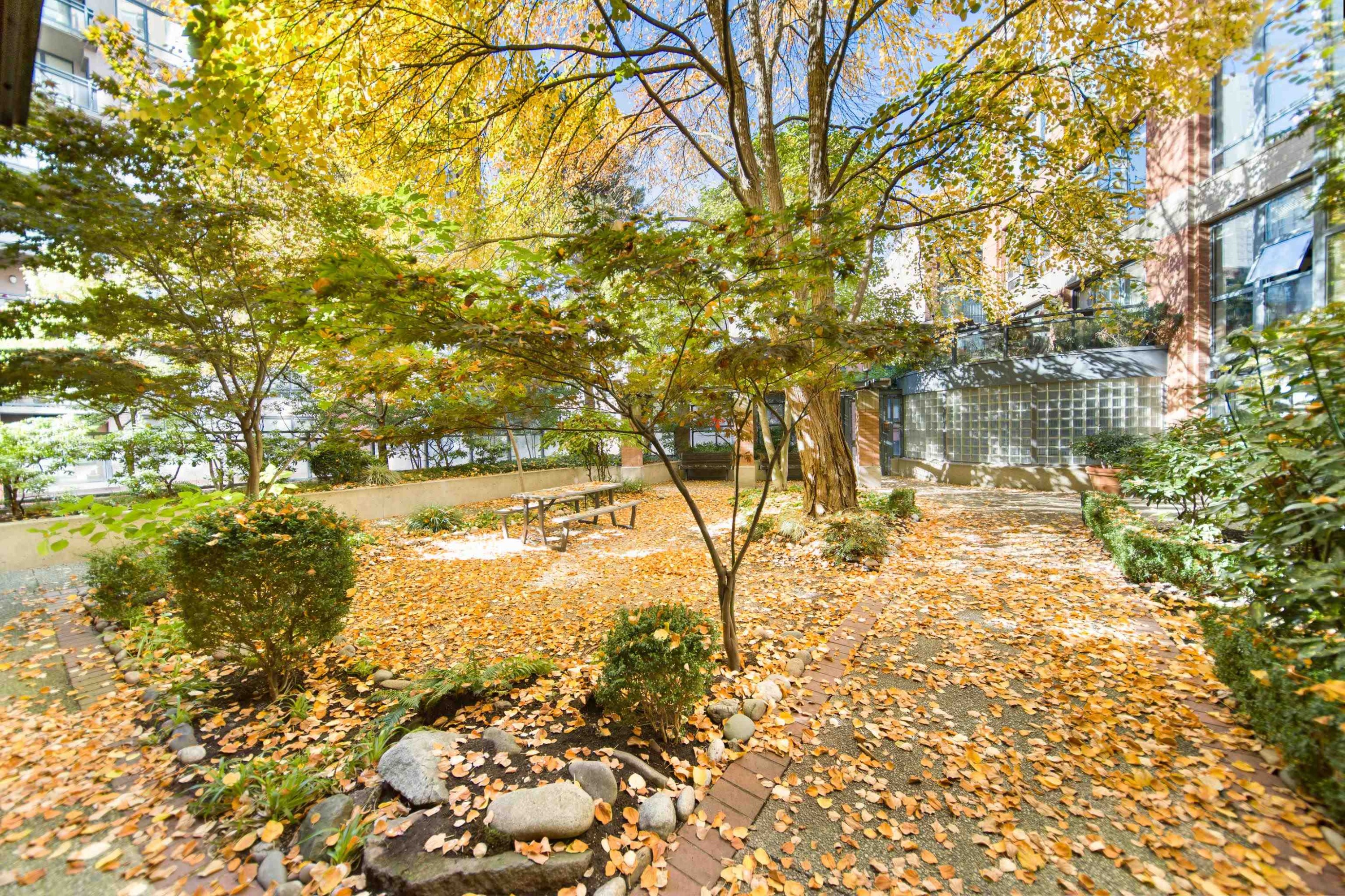 405-212 Davie Street, Vancouver, BC