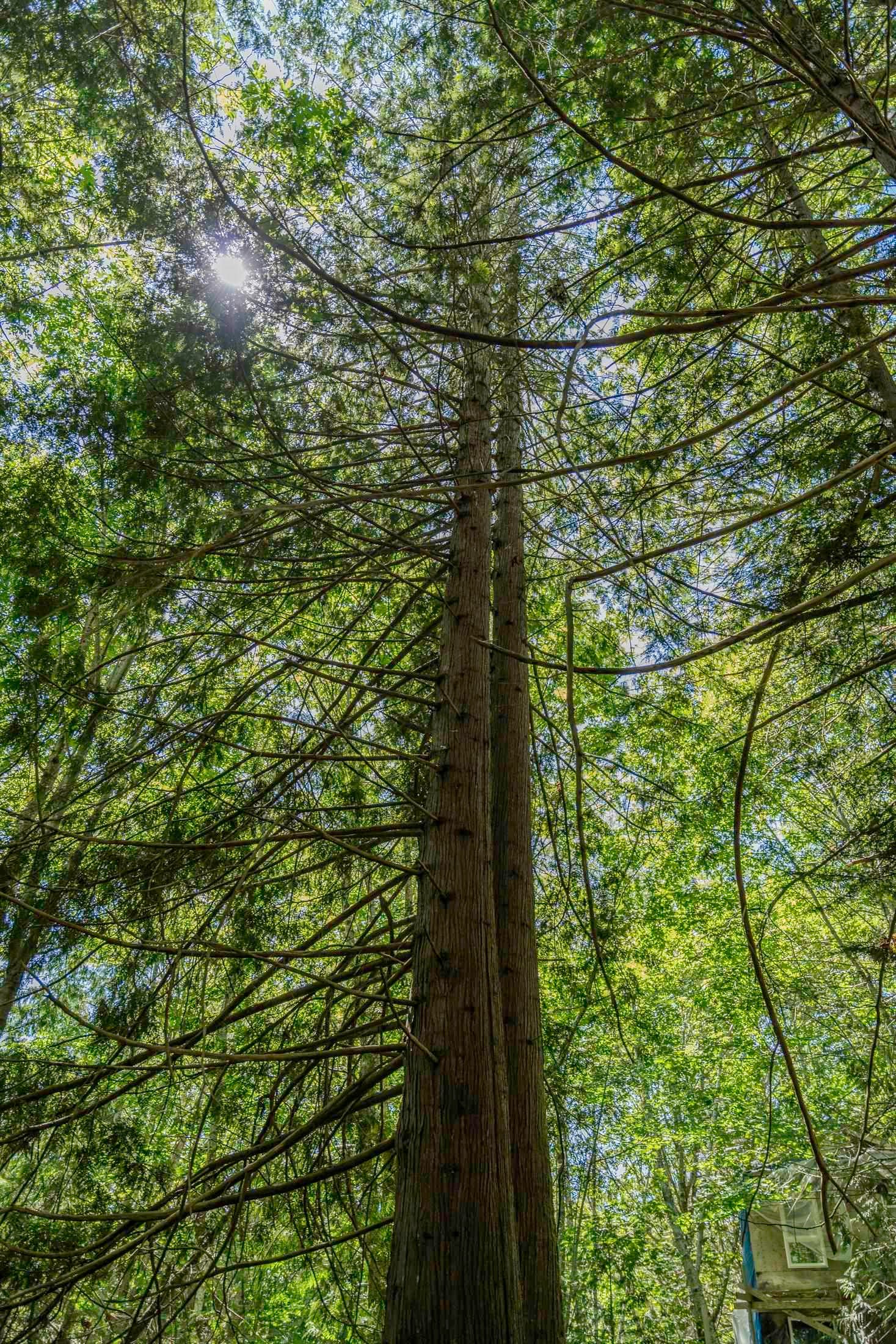 12882 Stone Road, Pender Harbour, BC