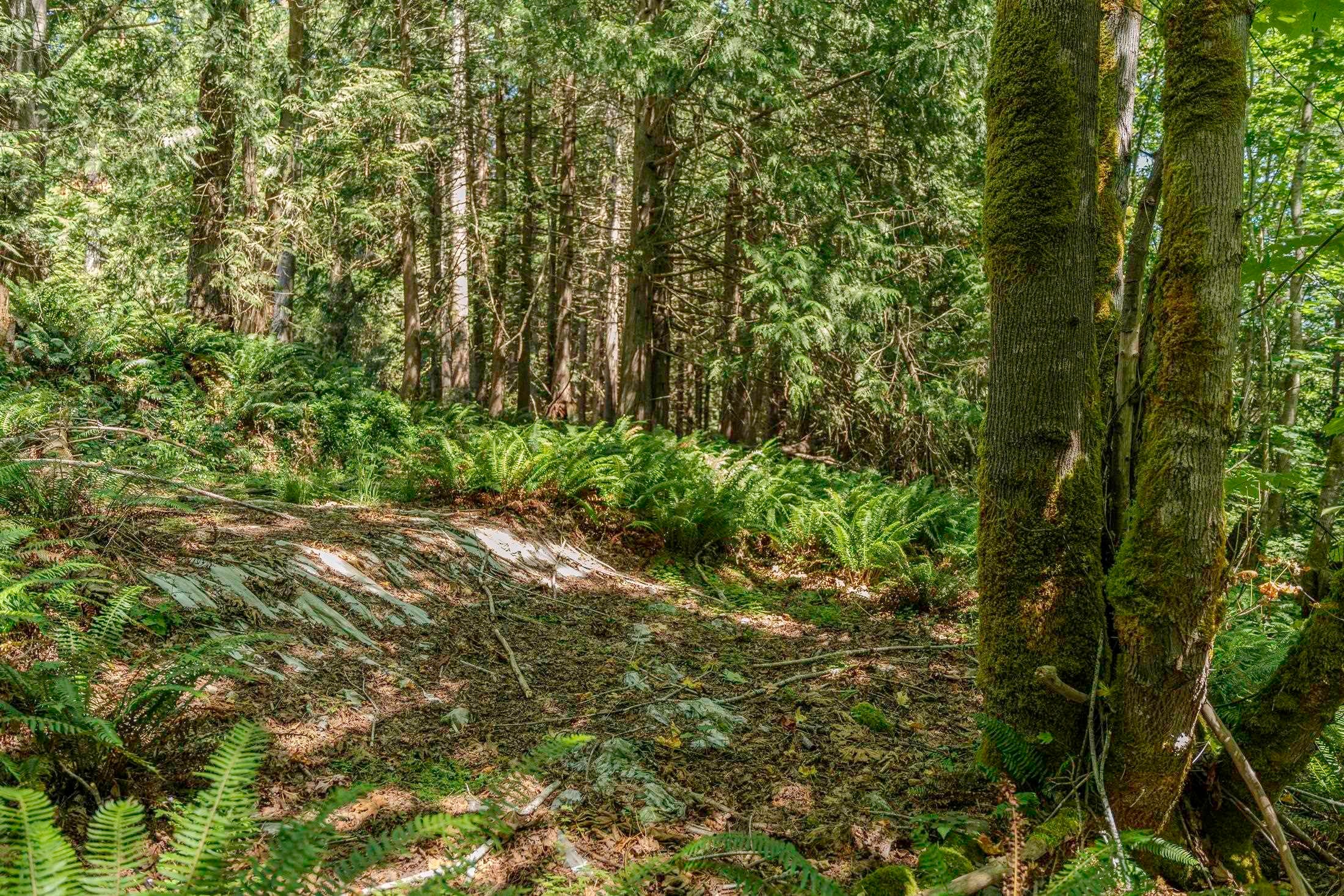 12882 Stone Road, Pender Harbour, BC