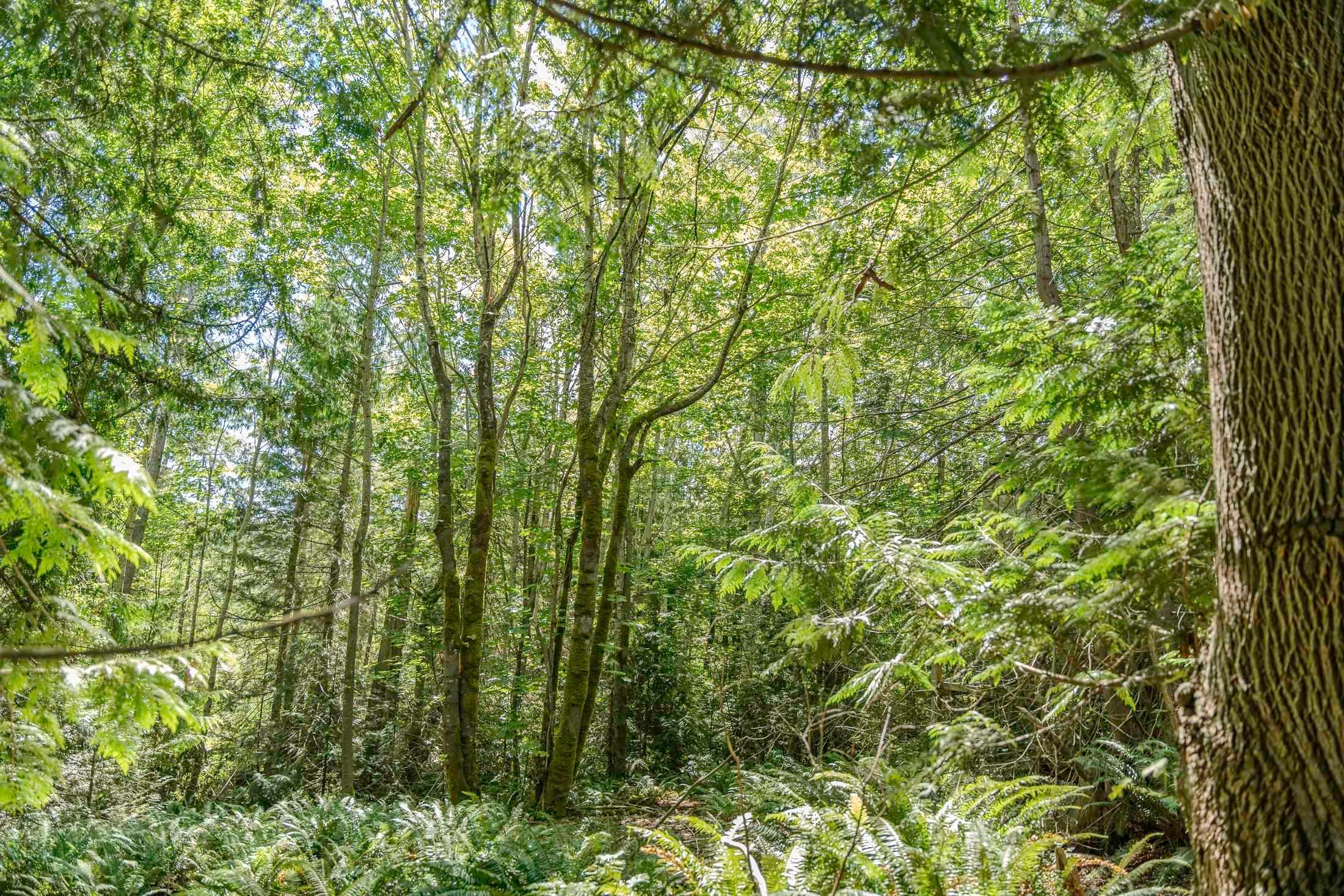 12882 Stone Road, Pender Harbour, BC