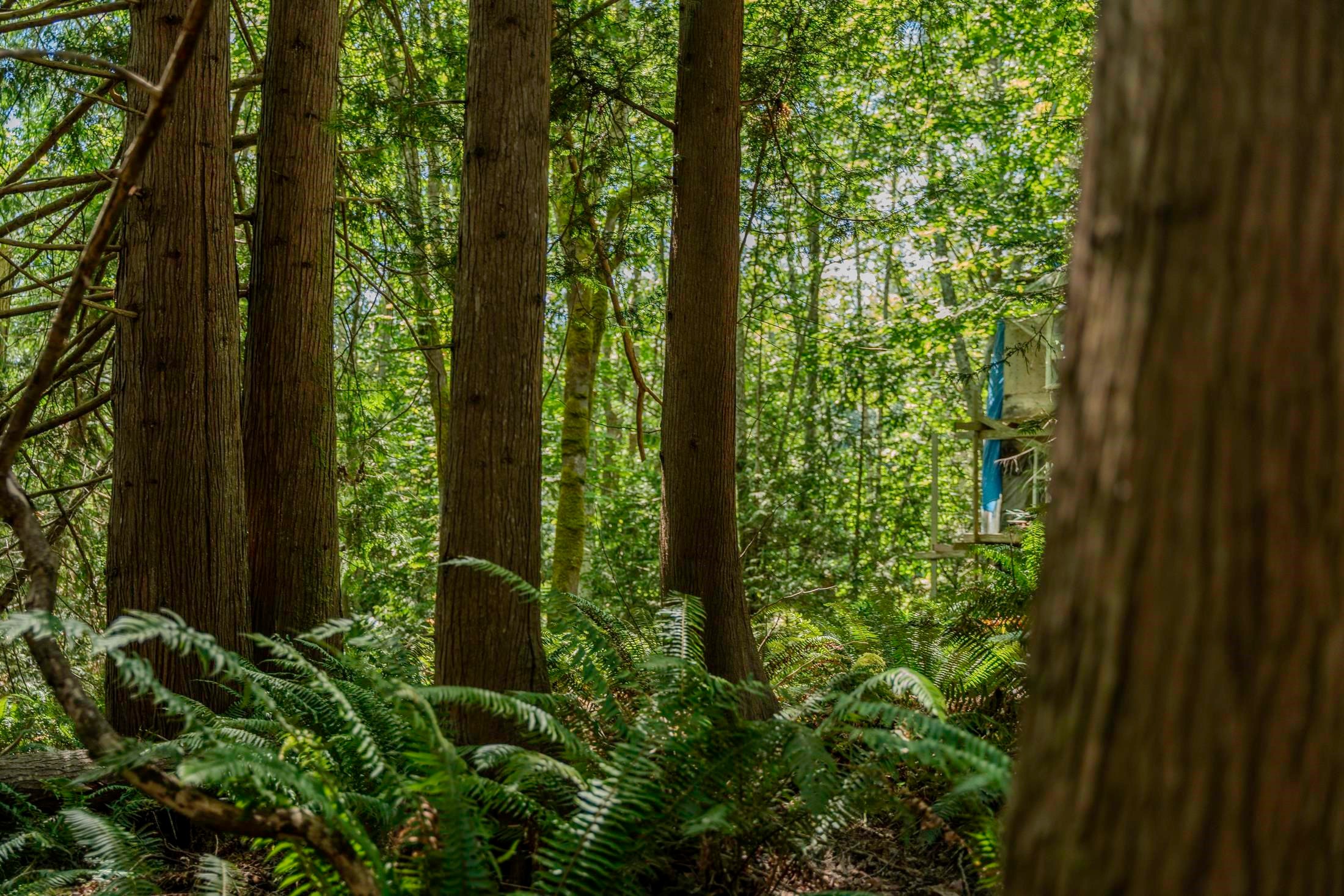 12882 Stone Road, Pender Harbour, BC