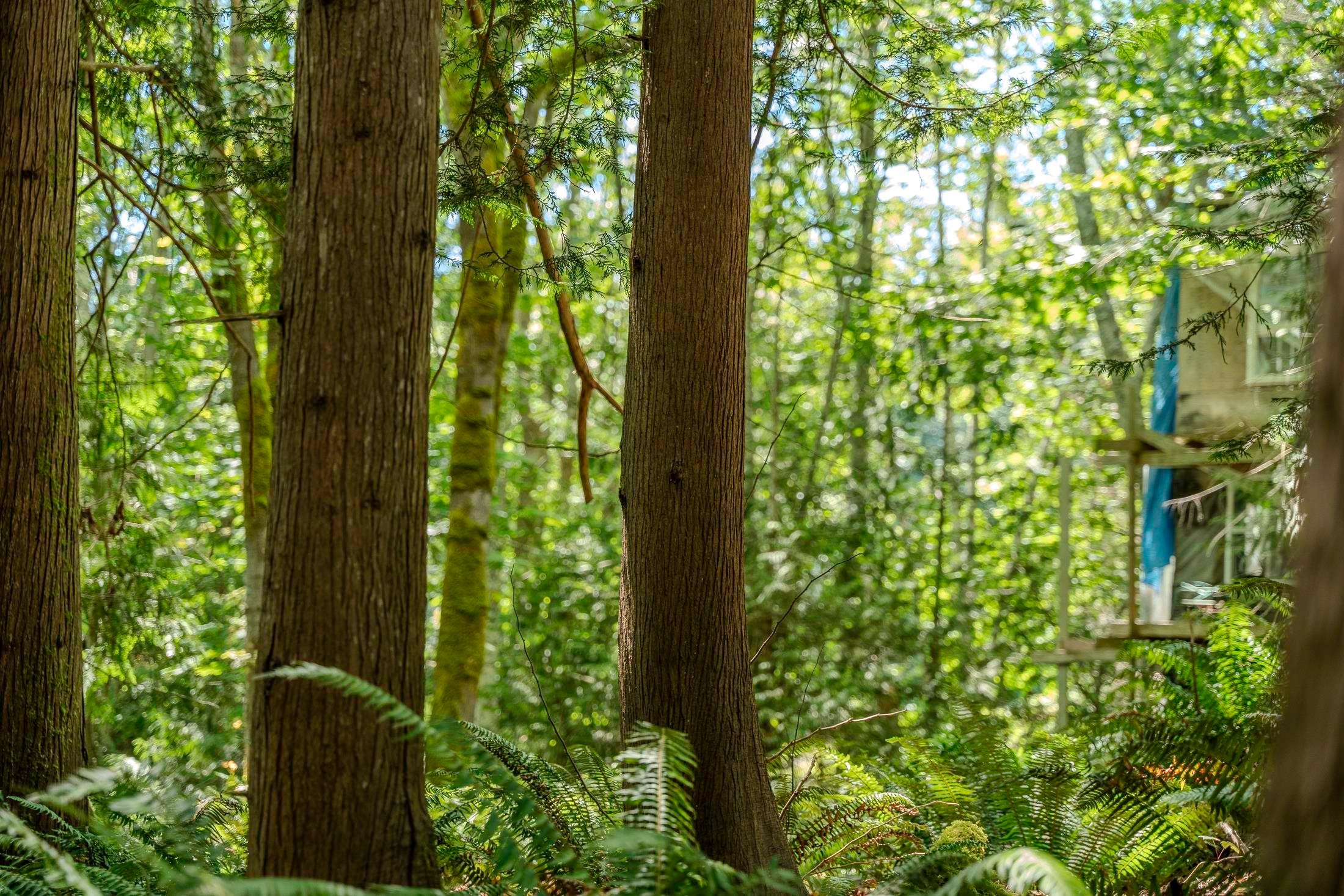 12882 Stone Road, Pender Harbour, BC