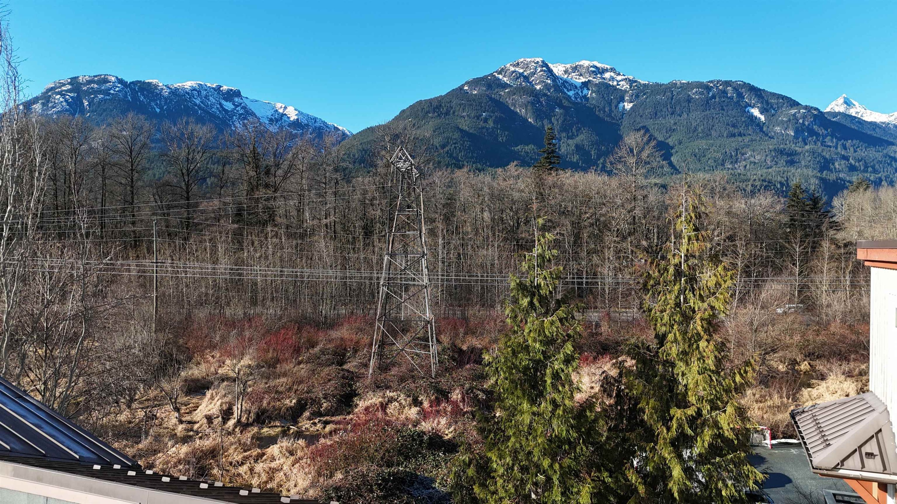 306-41105 Tantalus Road, Squamish, BC