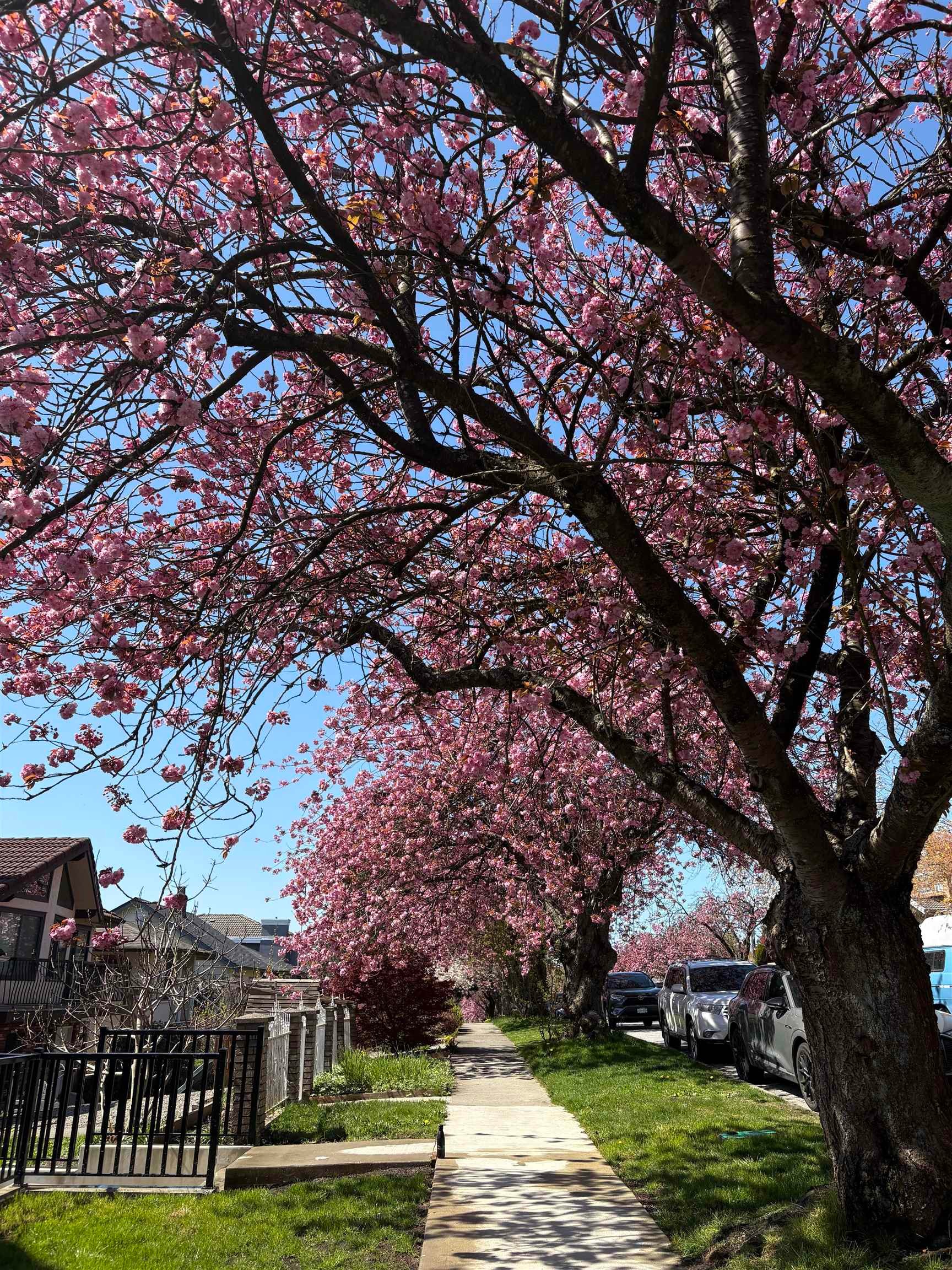 2972 7Th Avenue E, Vancouver, BC