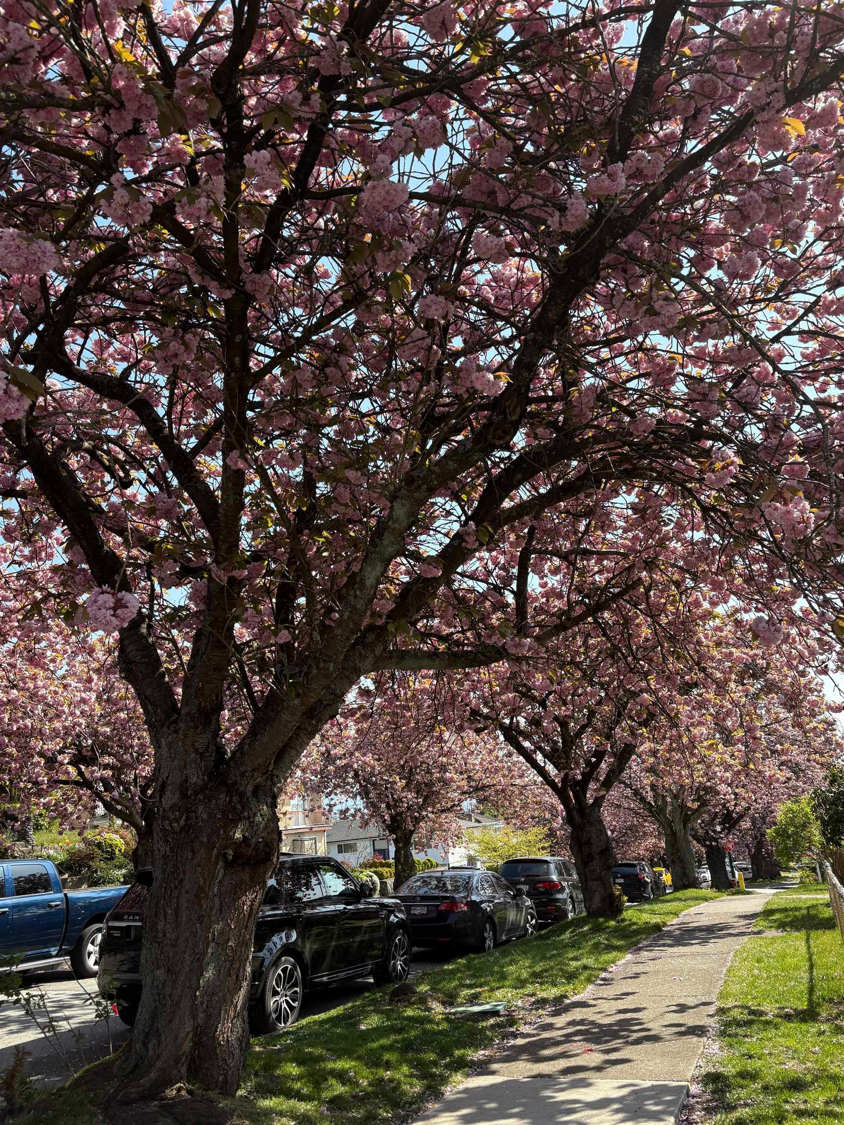 2972 7Th Avenue E, Vancouver, BC