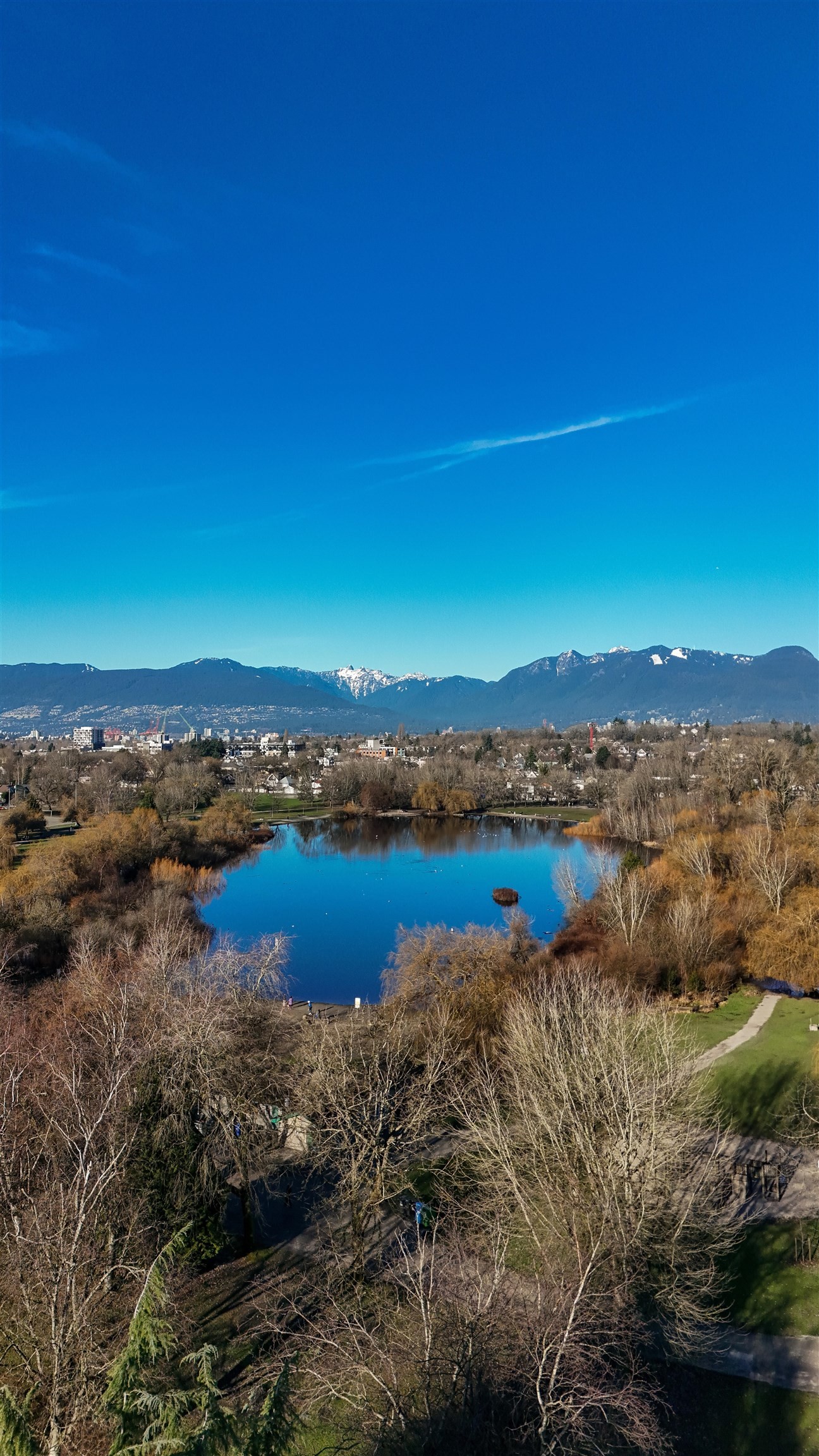 2173 Vanness Avenue, Vancouver, BC