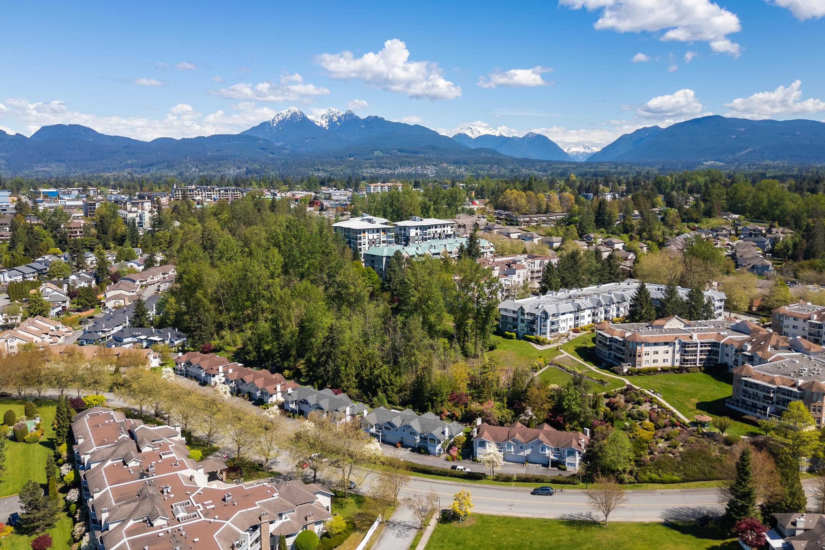 101-11641 227 Street, Maple Ridge, BC