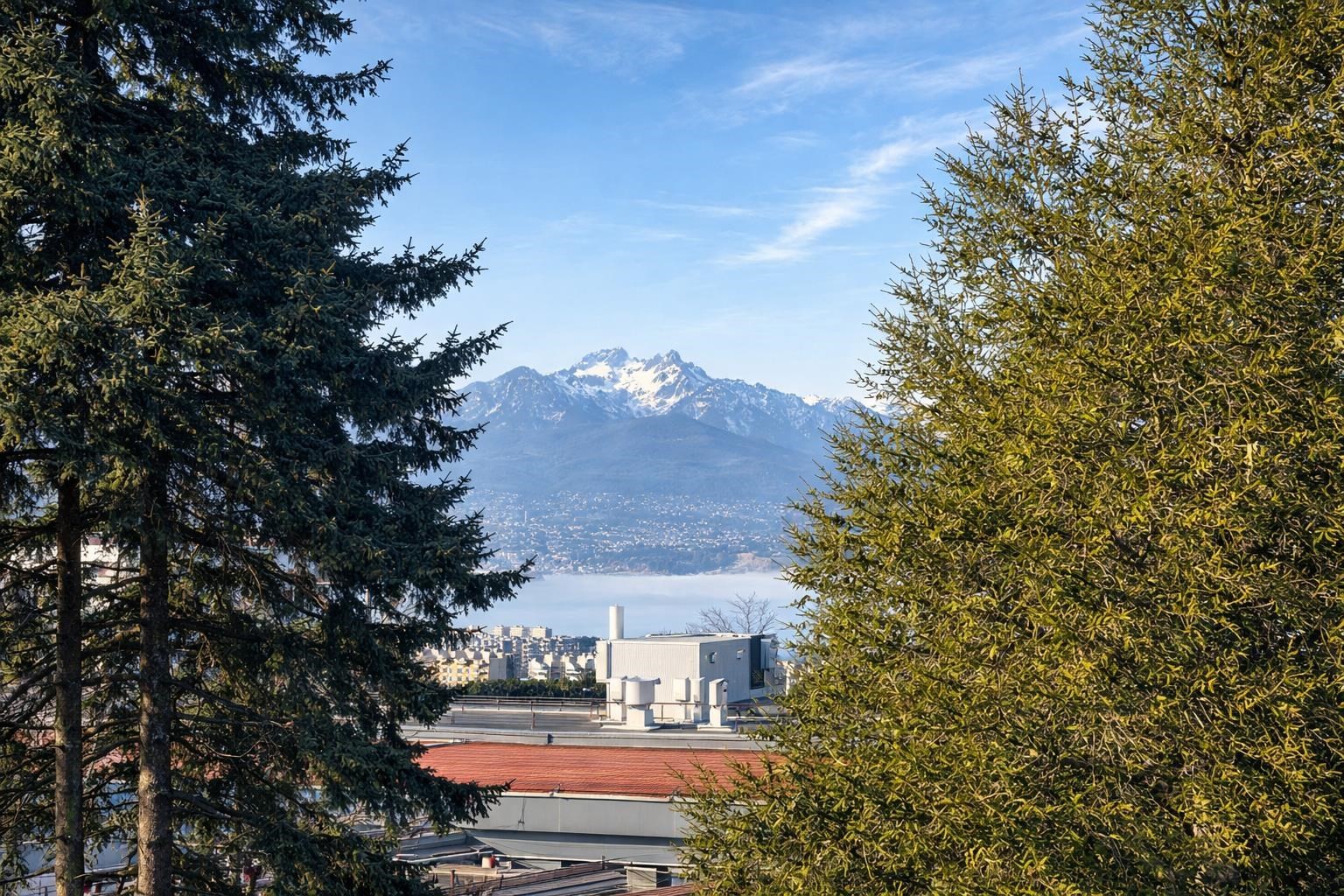 422-2471 St George Street, Vancouver, BC