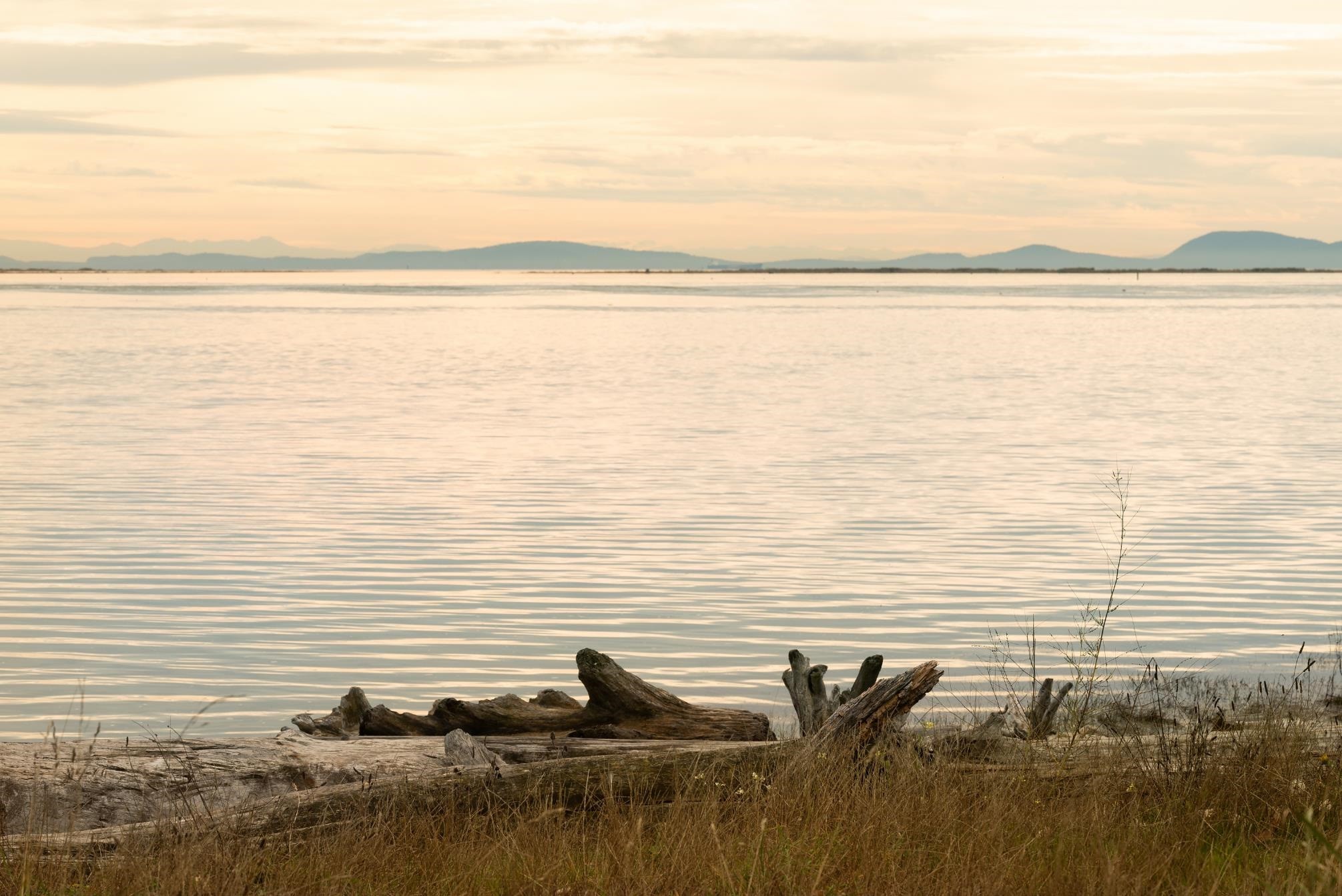 100-3888 Moresby Drive, Richmond, BC