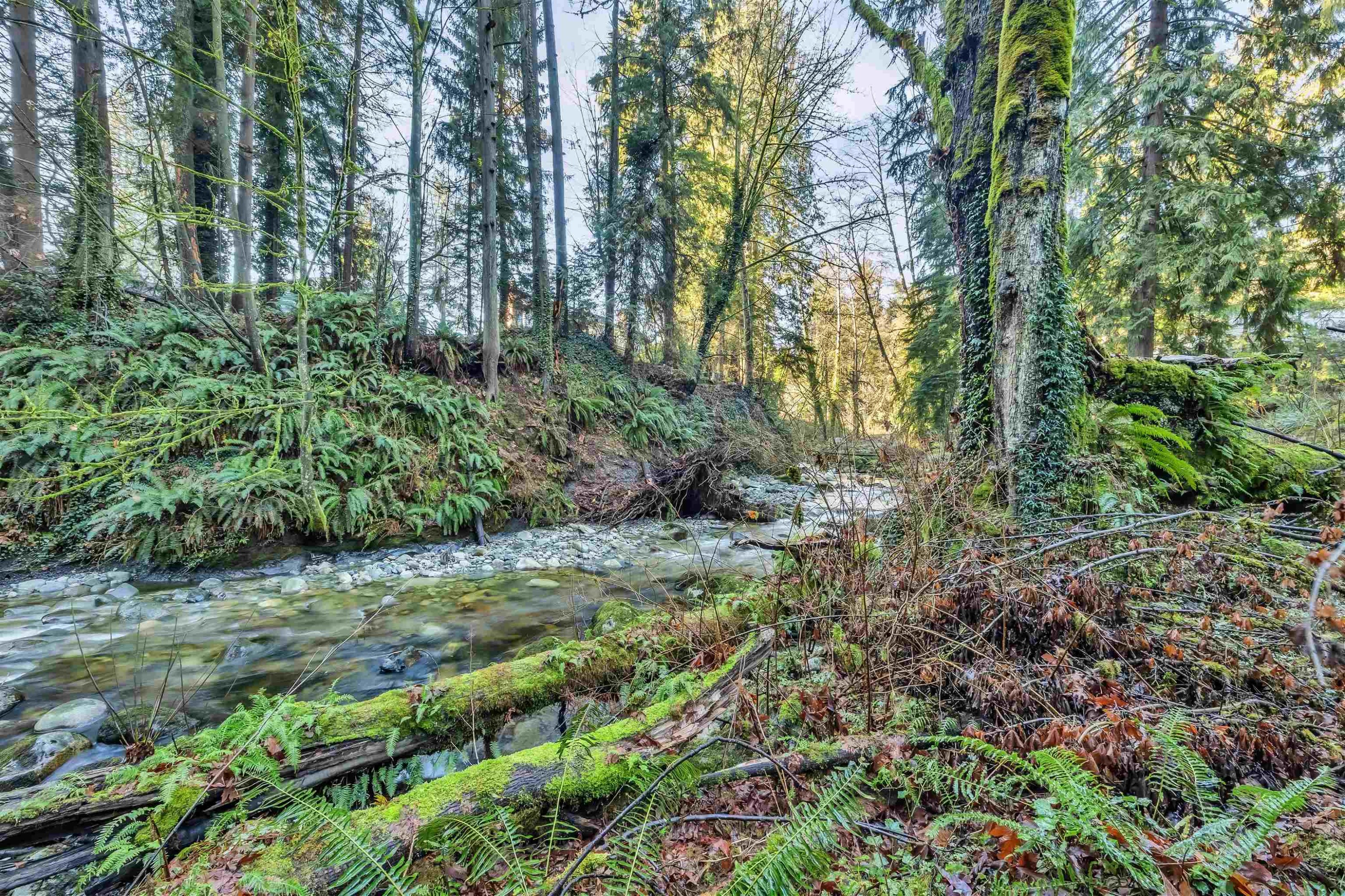 430 Macbeth Crescent, West Vancouver, BC