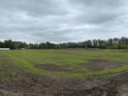 8646 Mandeville Avenue Burnaby, BC V5J 3G6